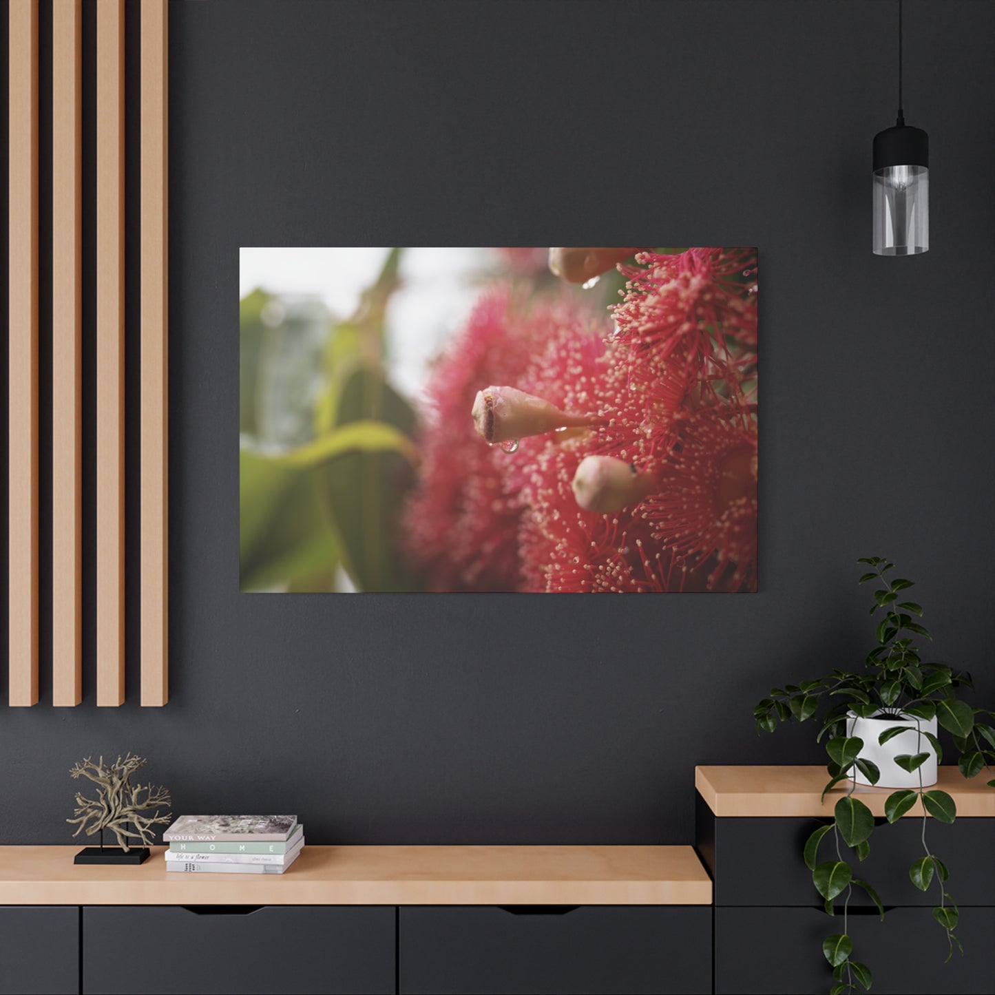 Flowering Gum Canvas Print