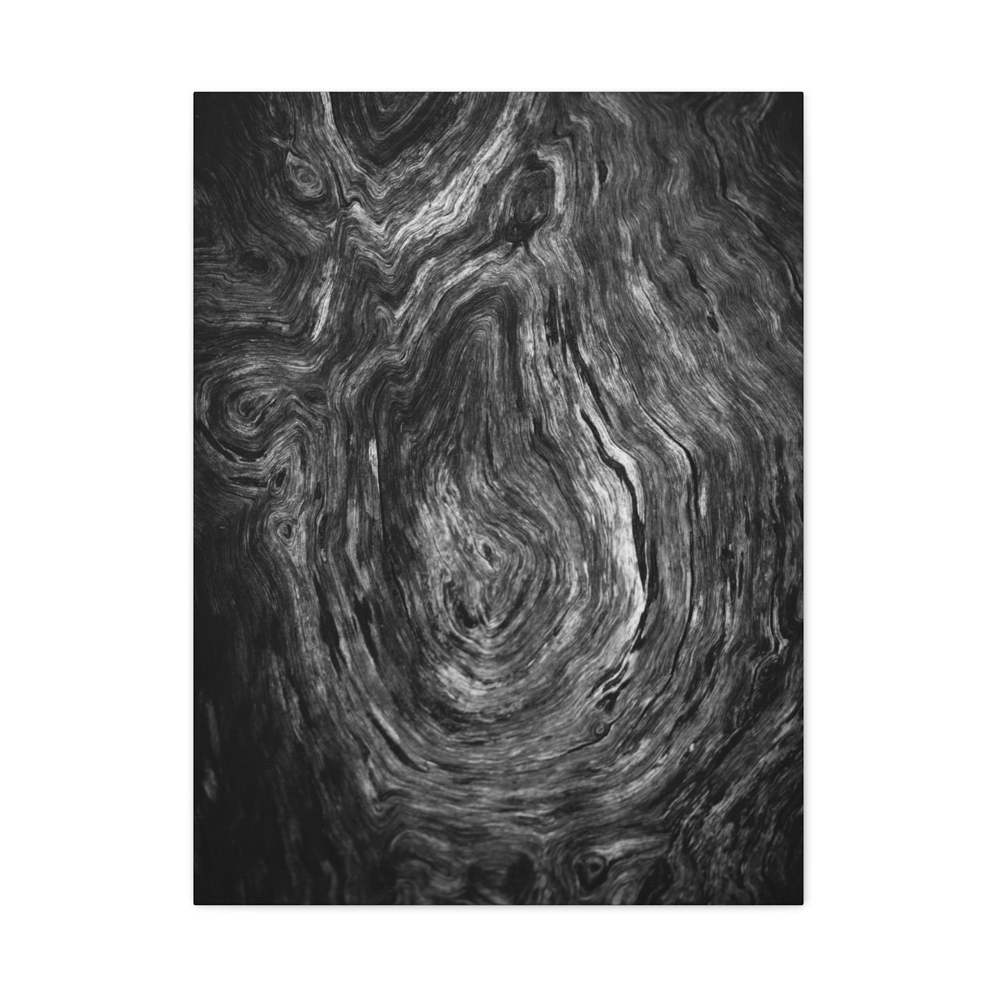 Wood Grain 1 BW Canvas Print