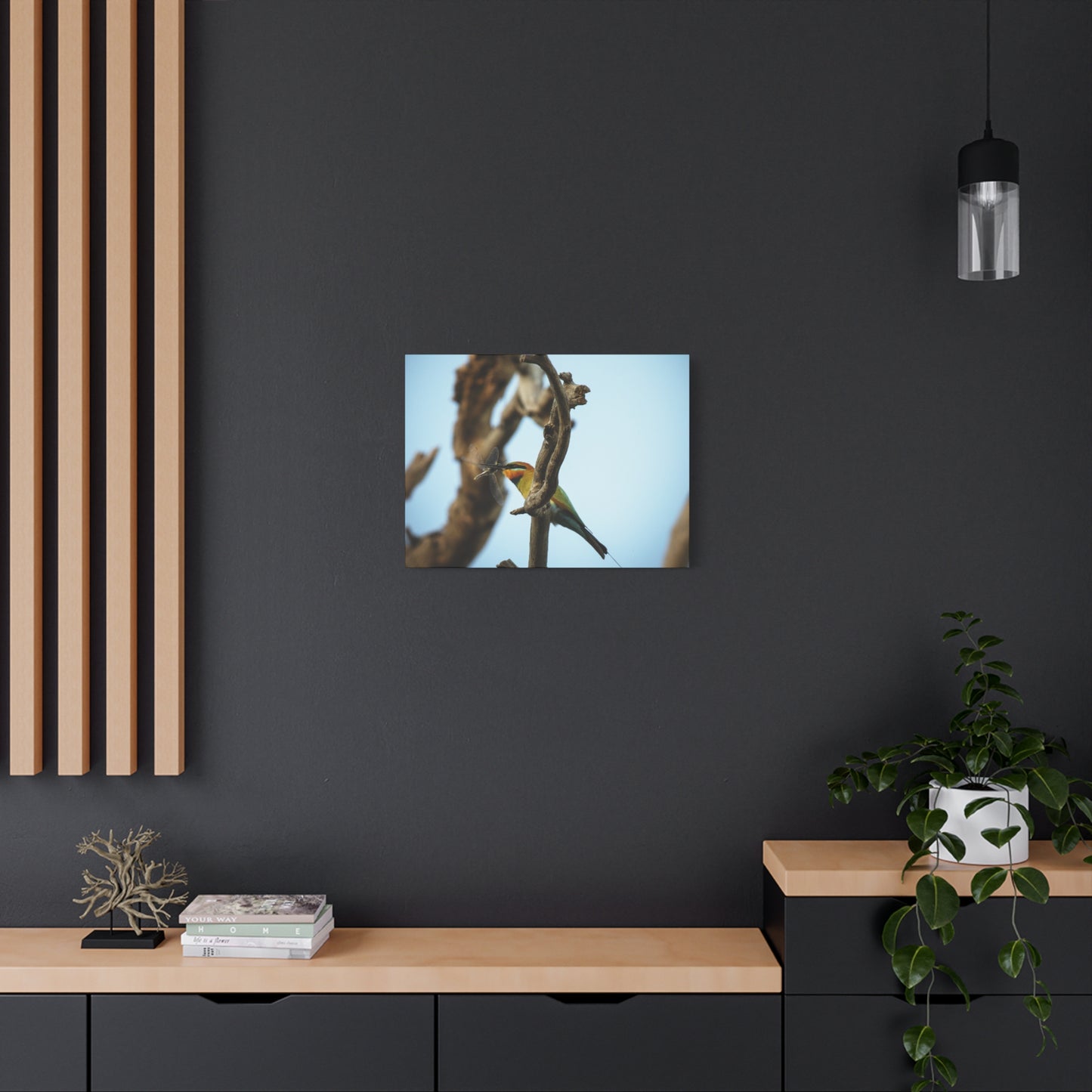 Bee Eater Canvas Print