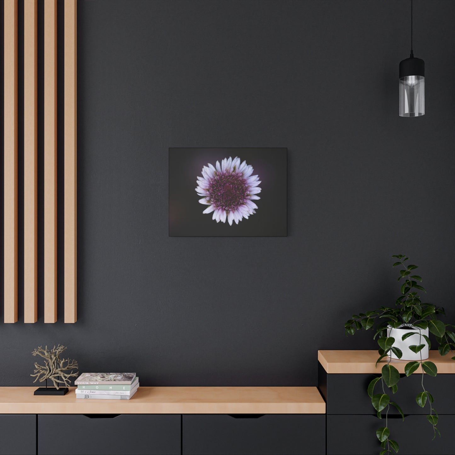 Pink Daisy Canvas Print