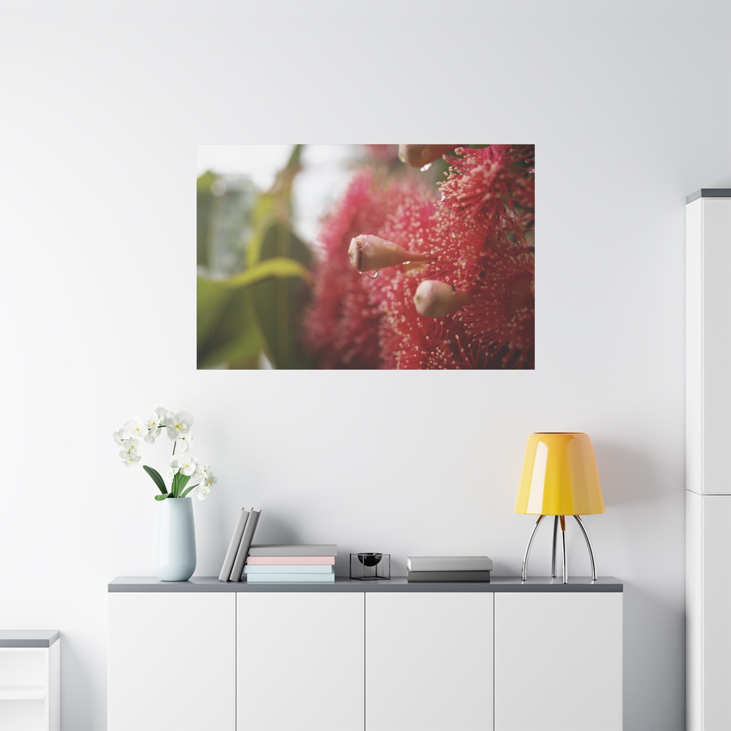 Flowering Gum Canvas Print