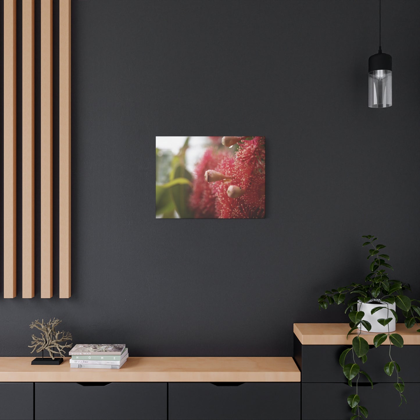 Flowering Gum Canvas Print