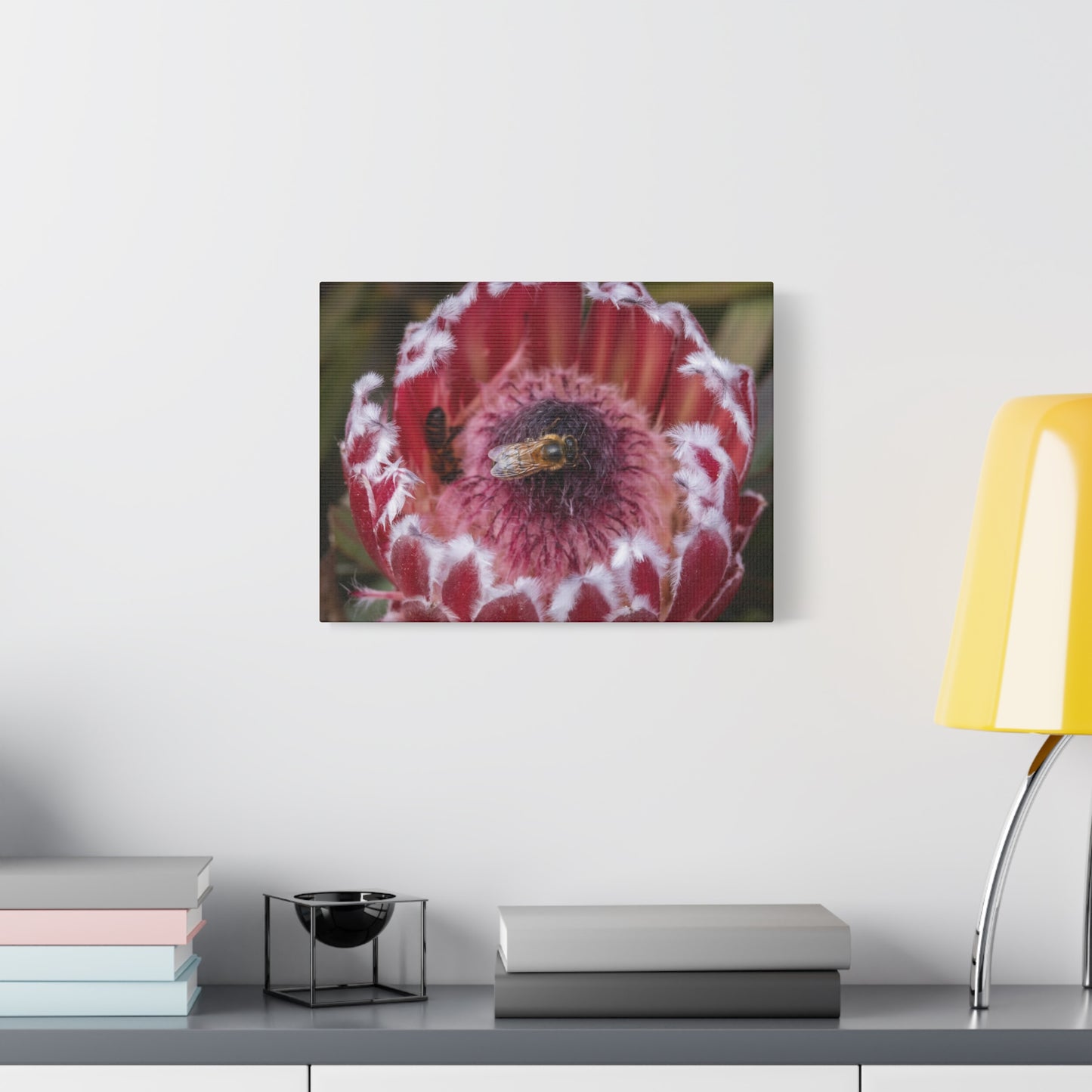 Feeding Bee Canvas Print