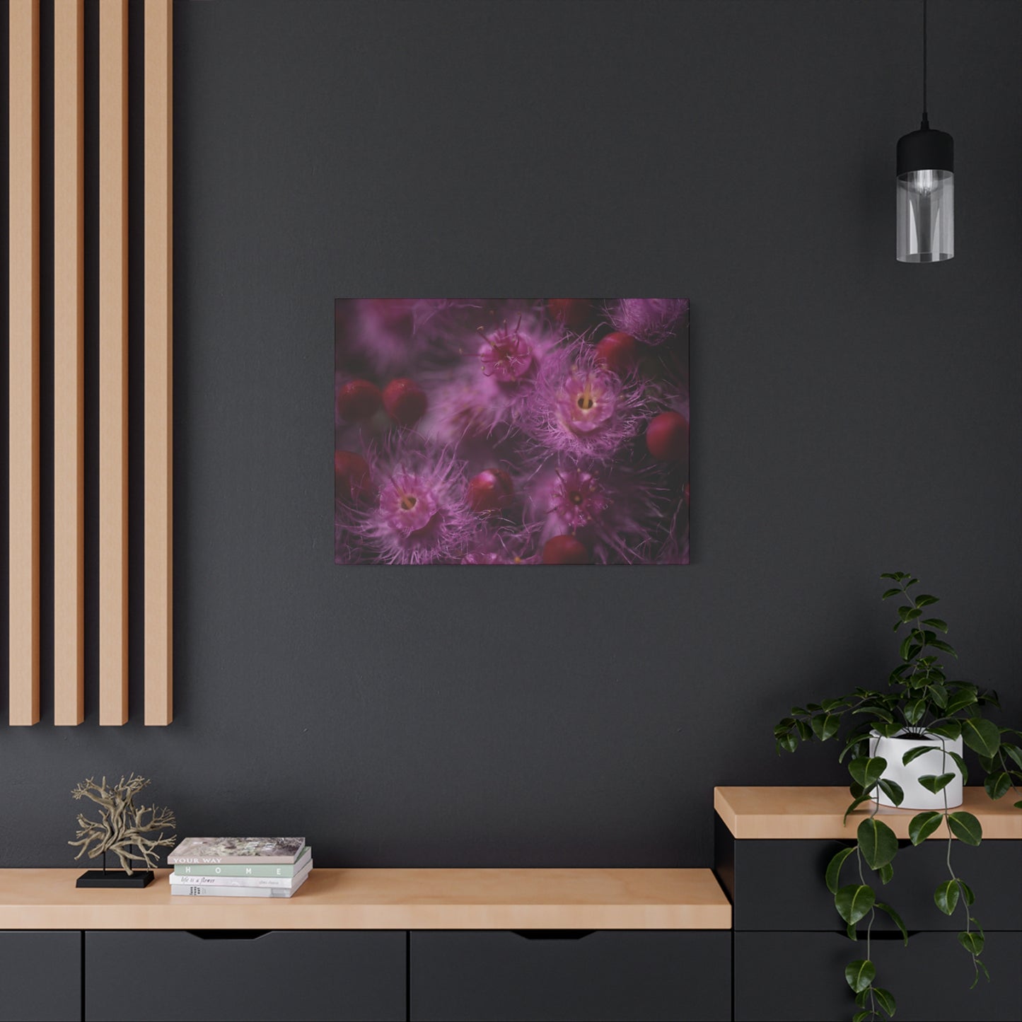 Verticordia Canvas Print