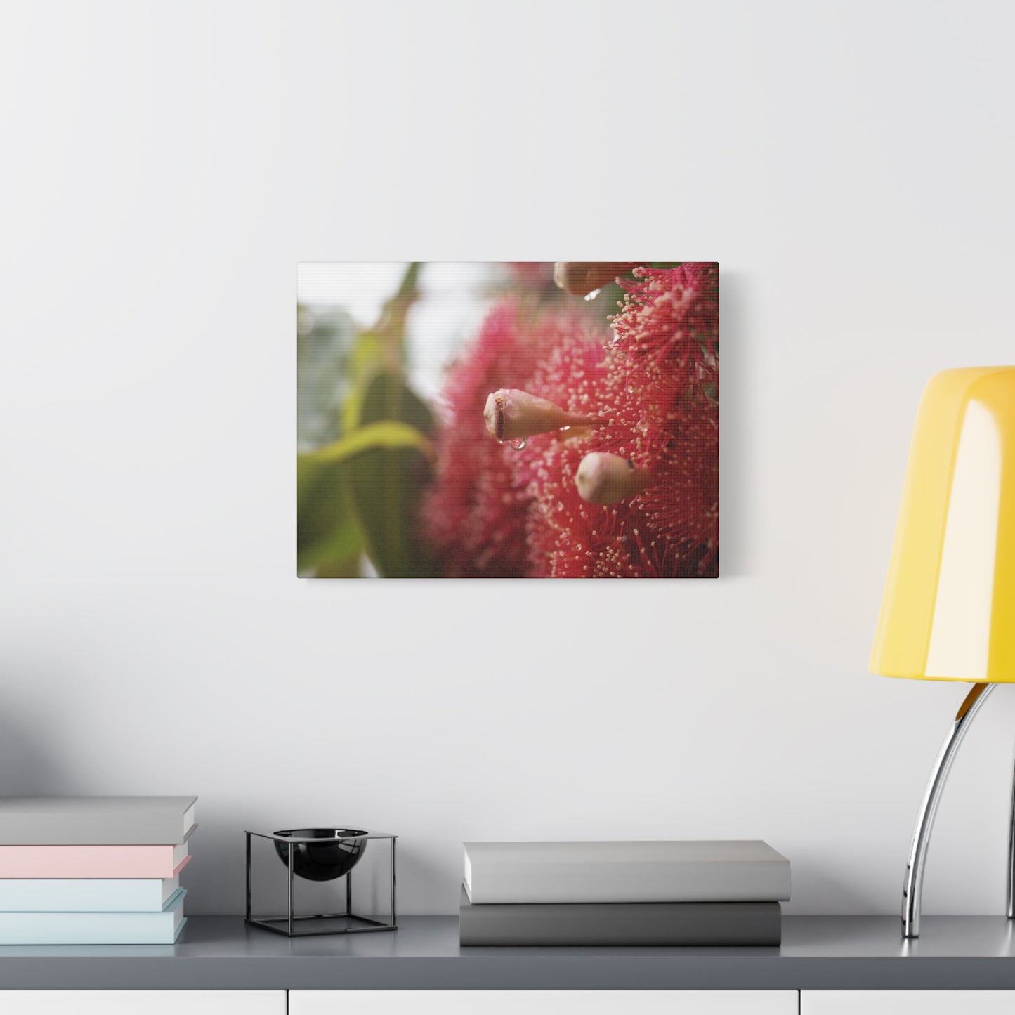 Flowering Gum Canvas Print