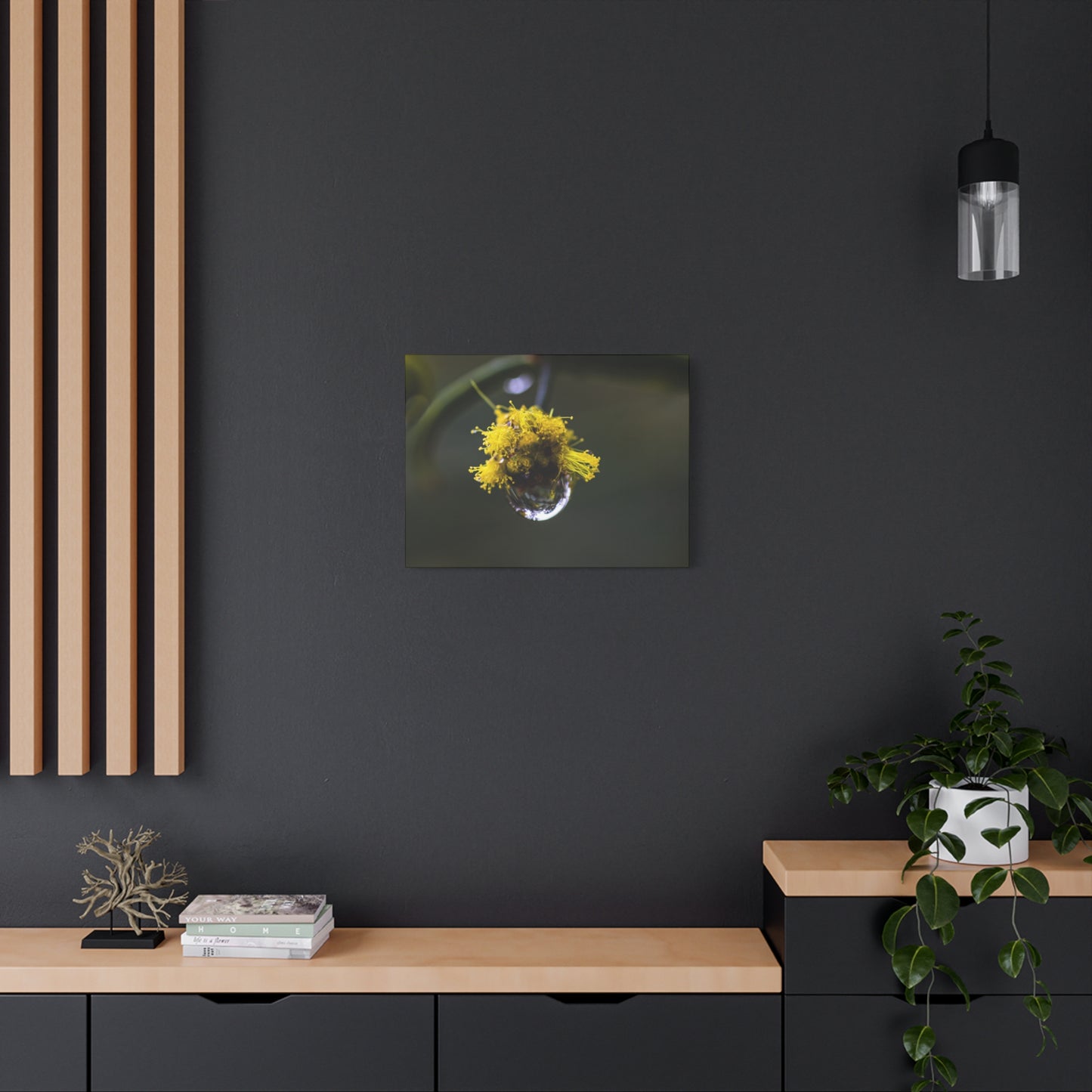 Droplets Canvas Print