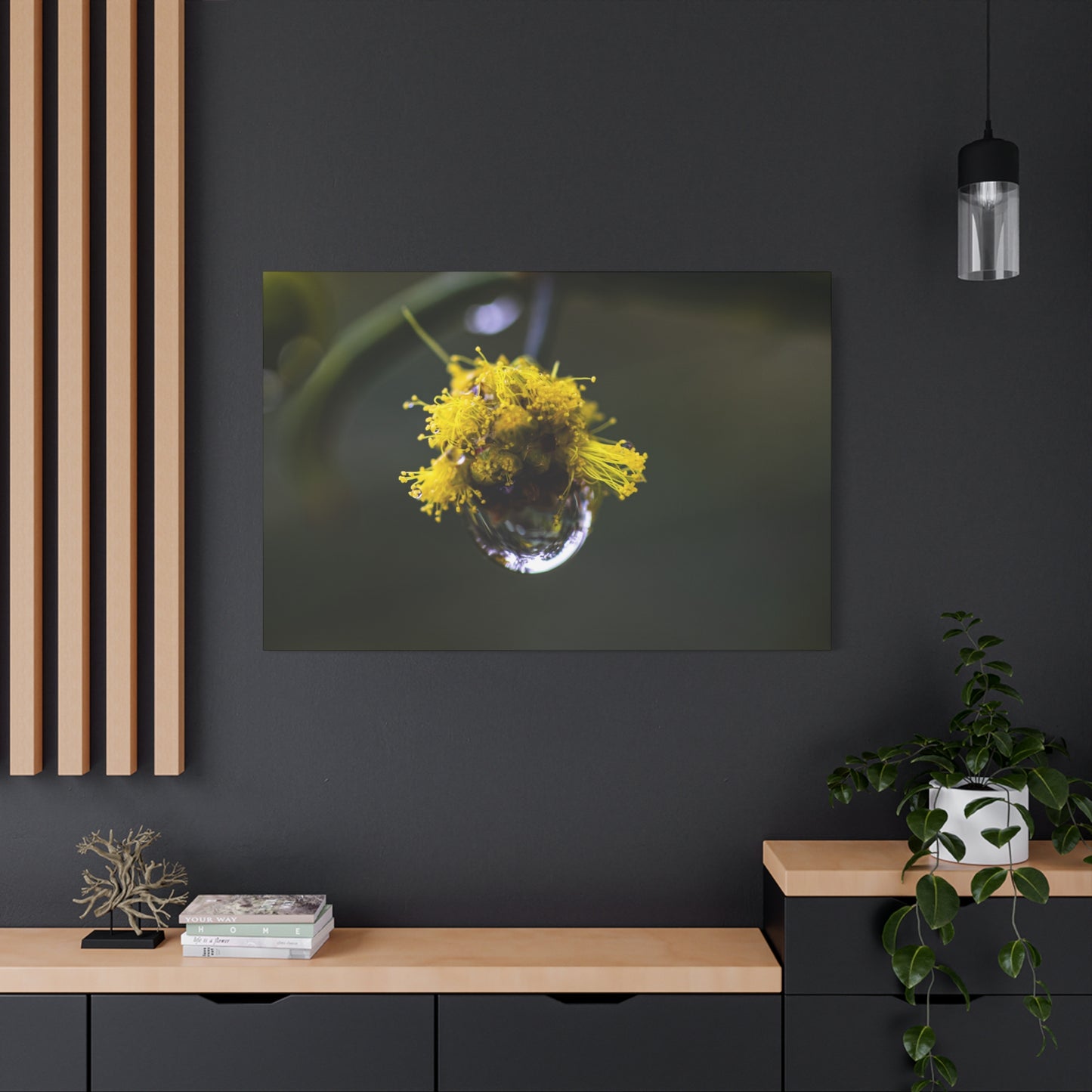 Droplets Canvas Print