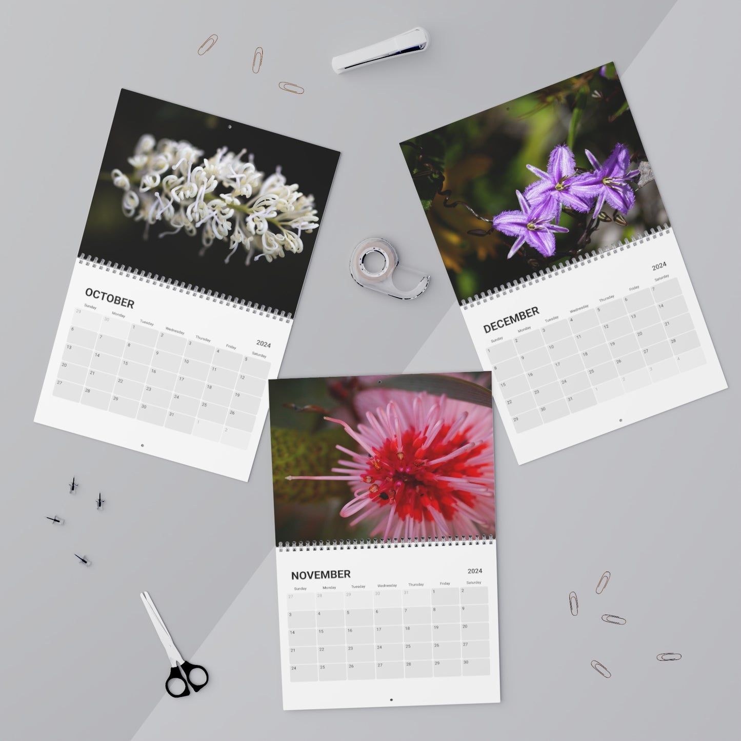 Wildflower Calendar (2024)