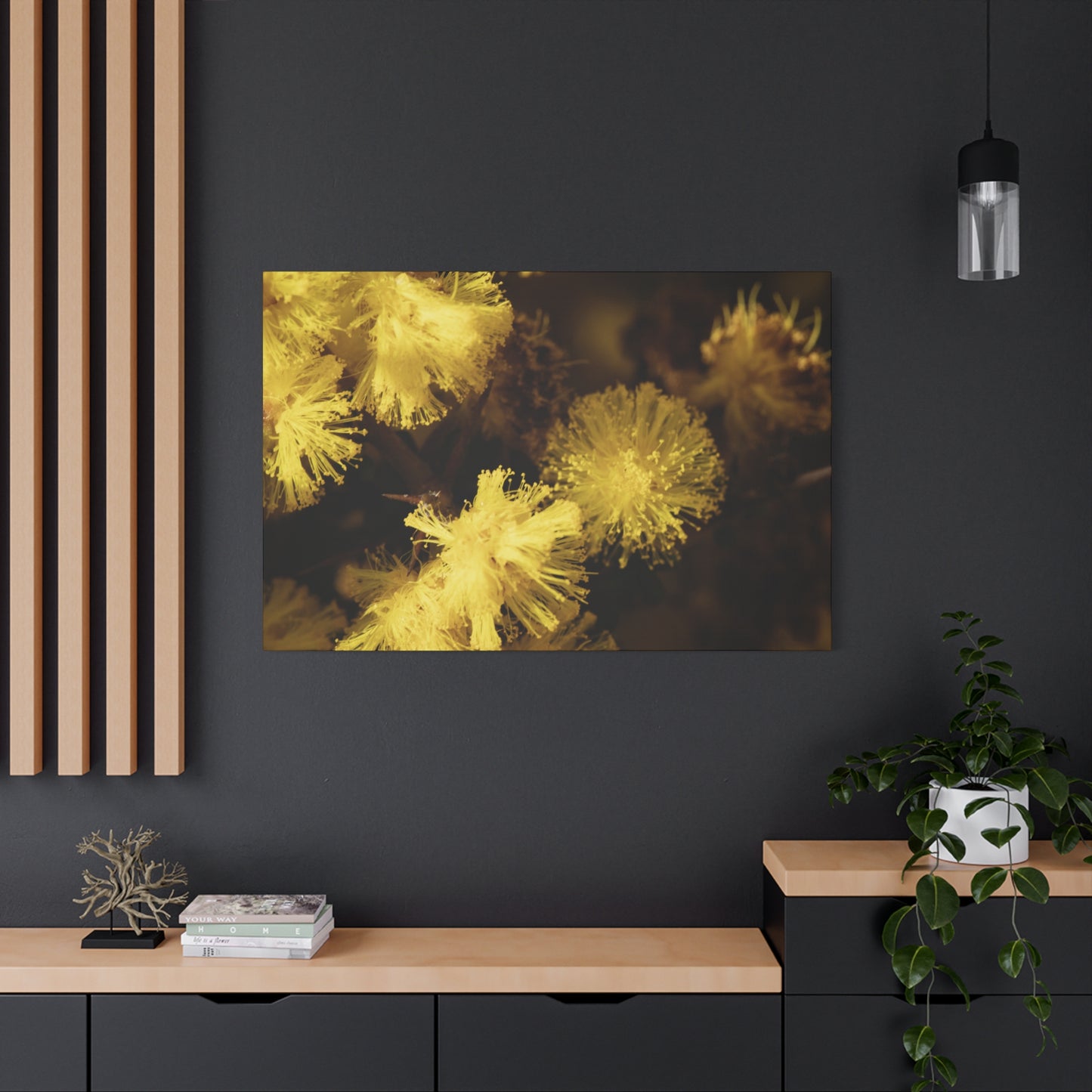 Wattle Canvas Print