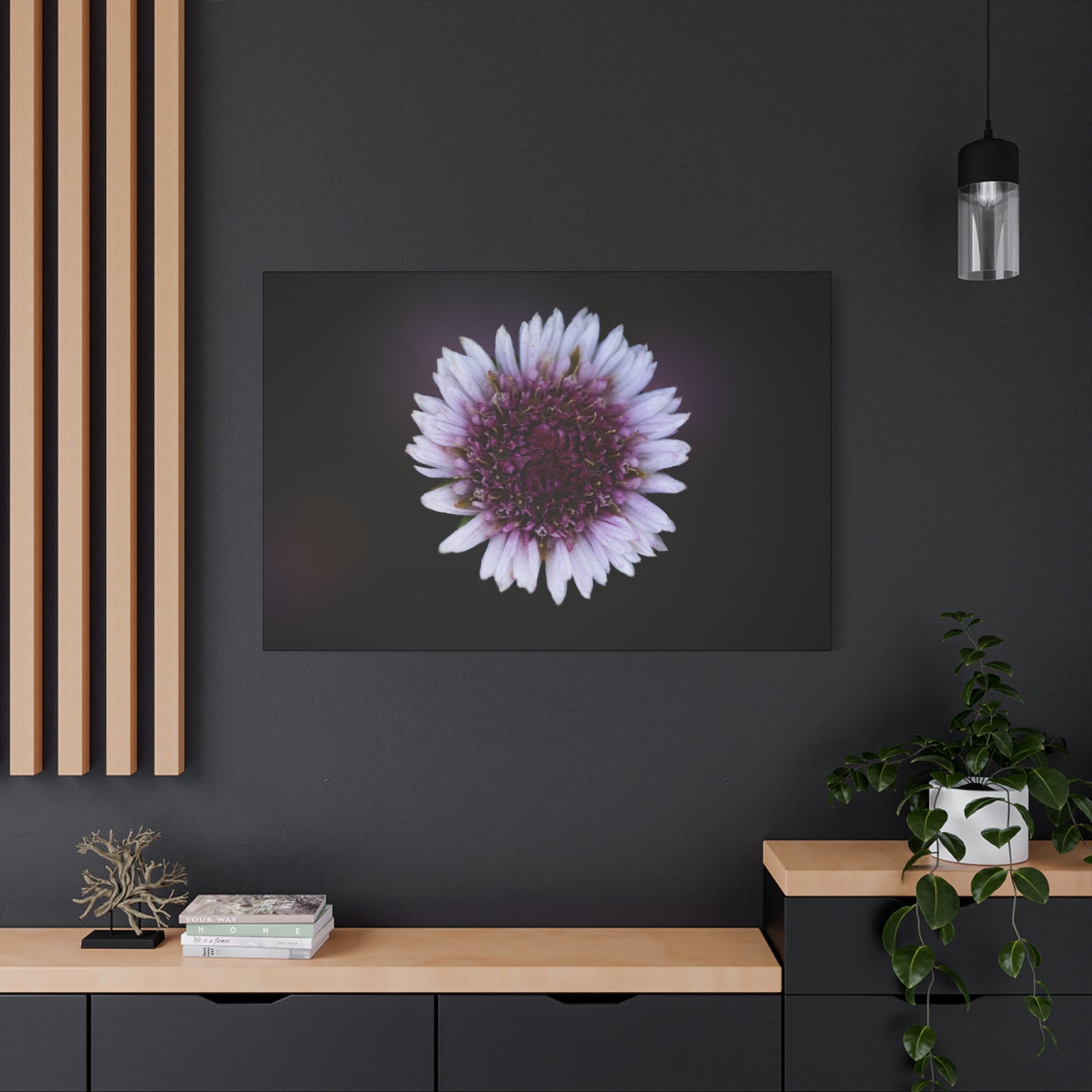 Pink Daisy Canvas Print