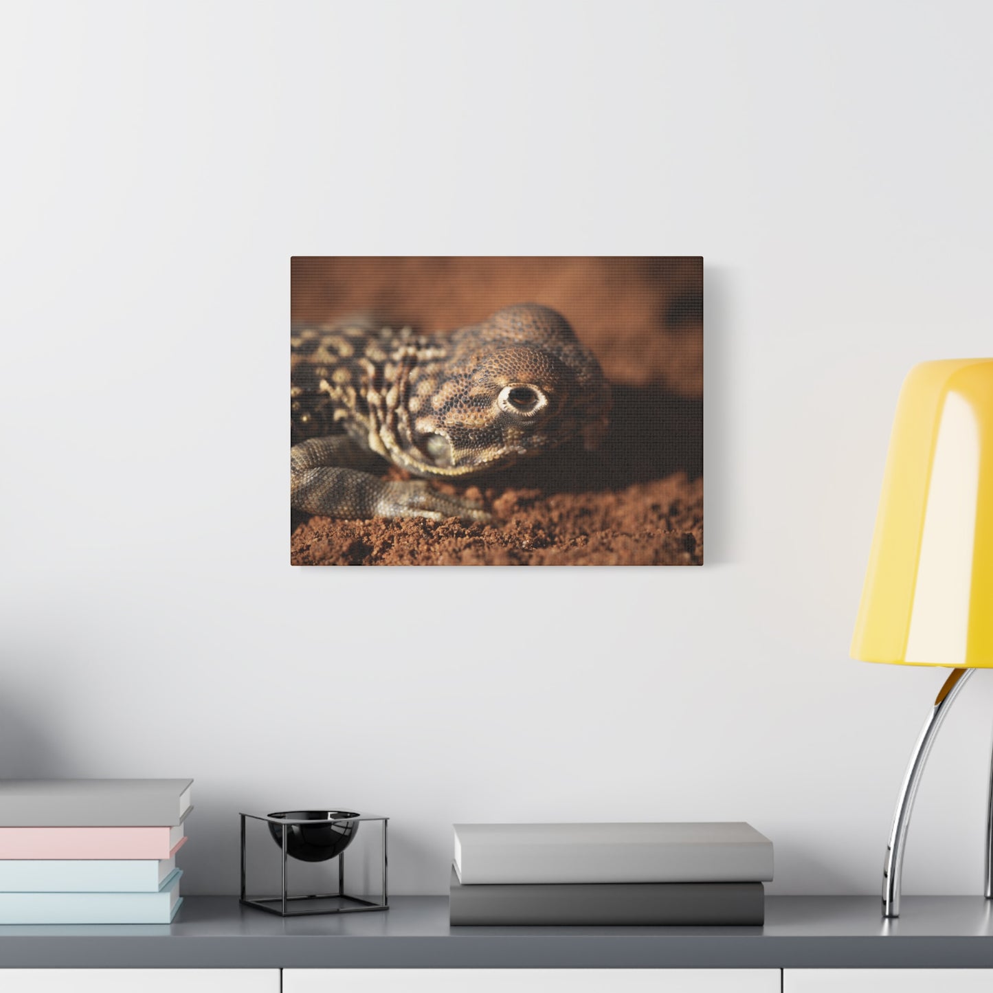 Lizard Canvas Print