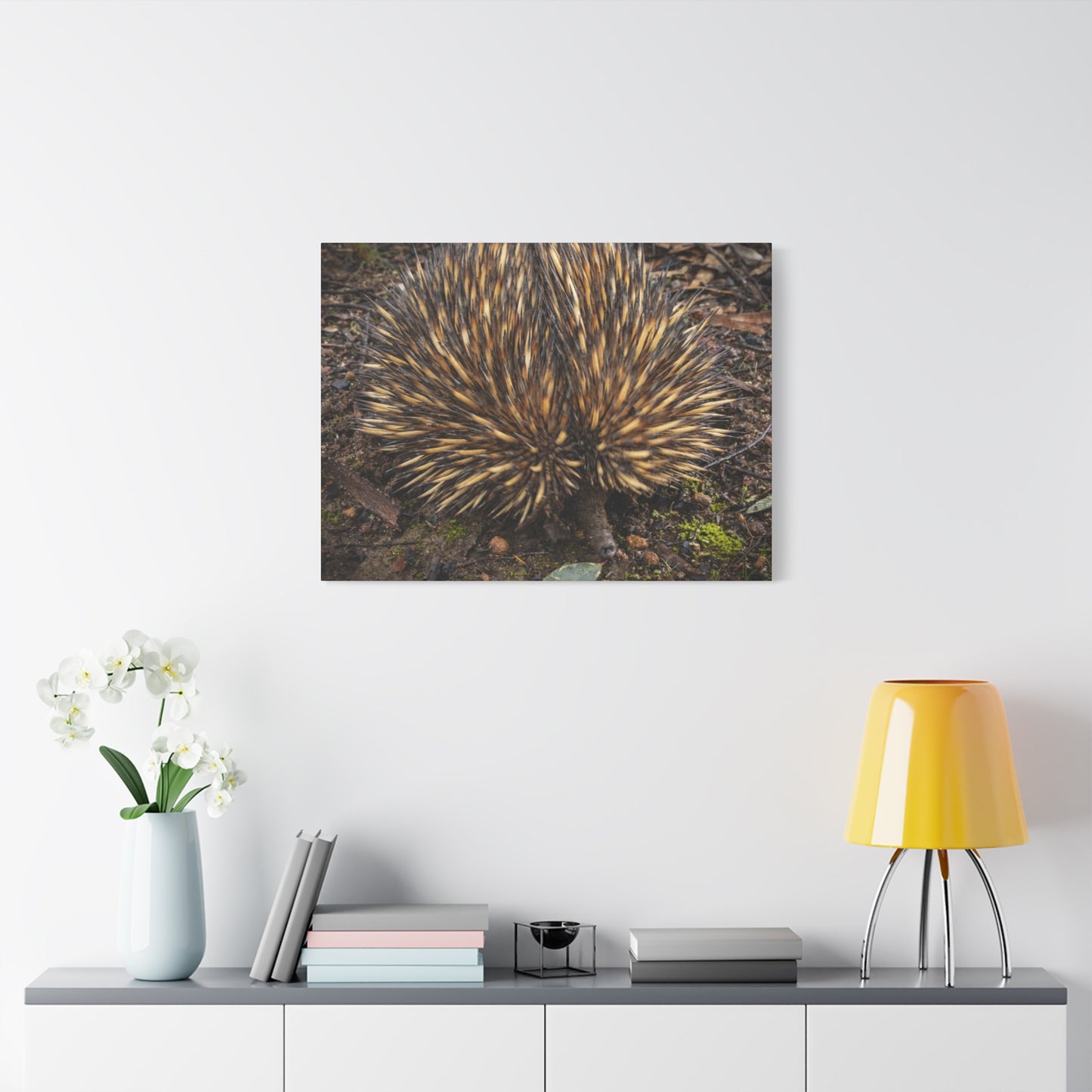 Spikey Canvas Print