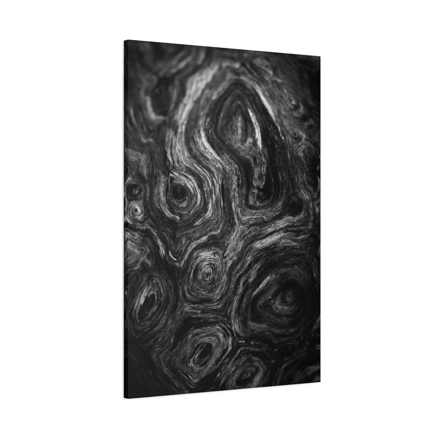 Wood Grain 2 BW Canvas Print