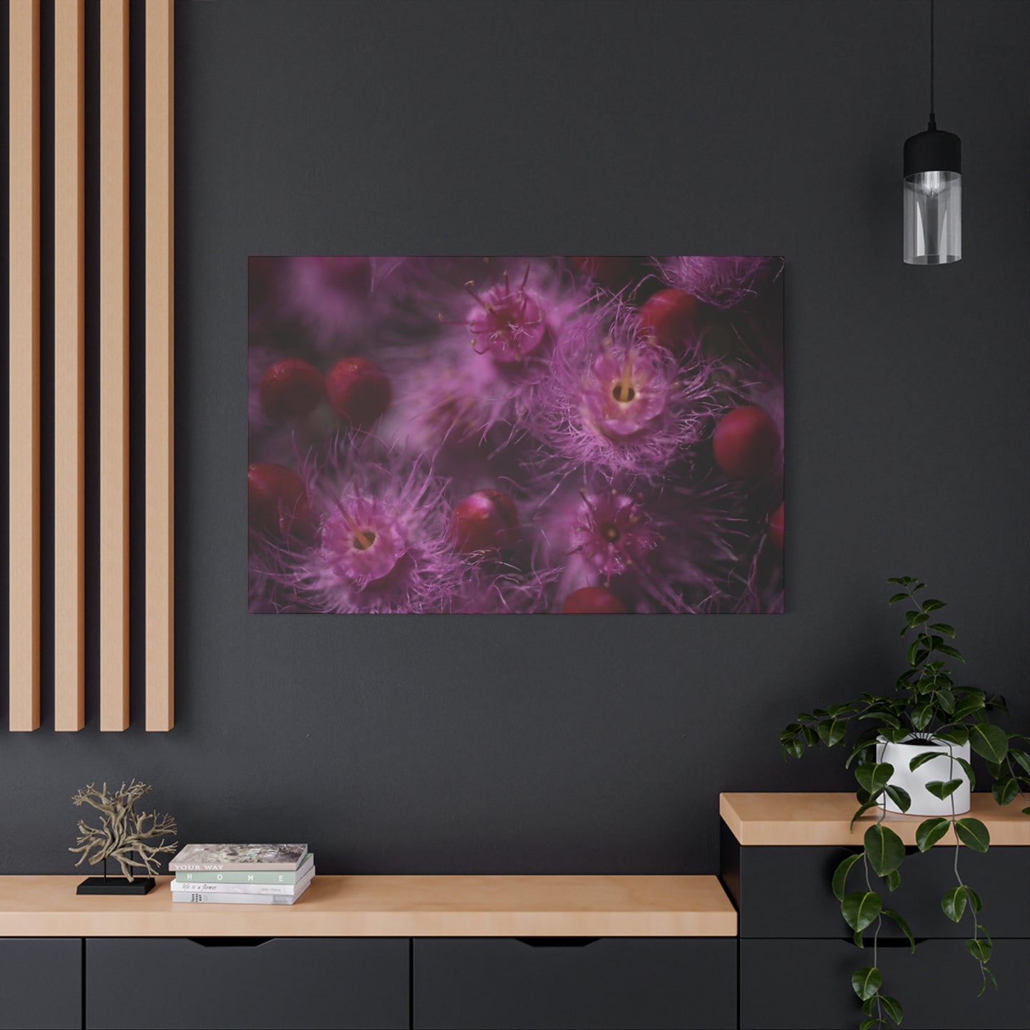 Verticordia Canvas Print