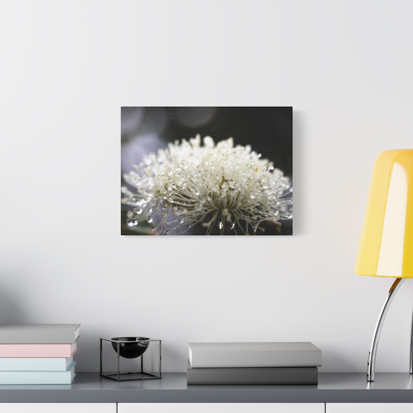 Marri Bloom Canvas Print