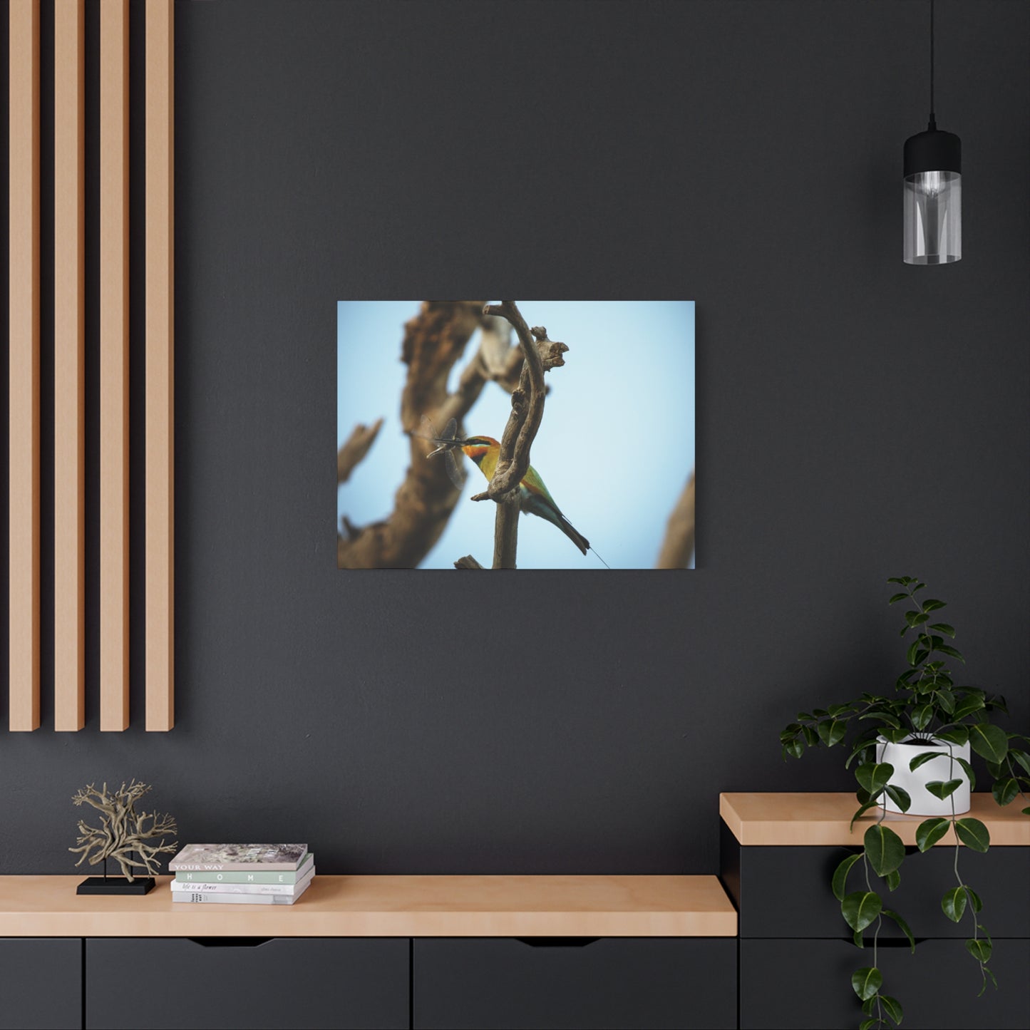 Bee Eater Canvas Print