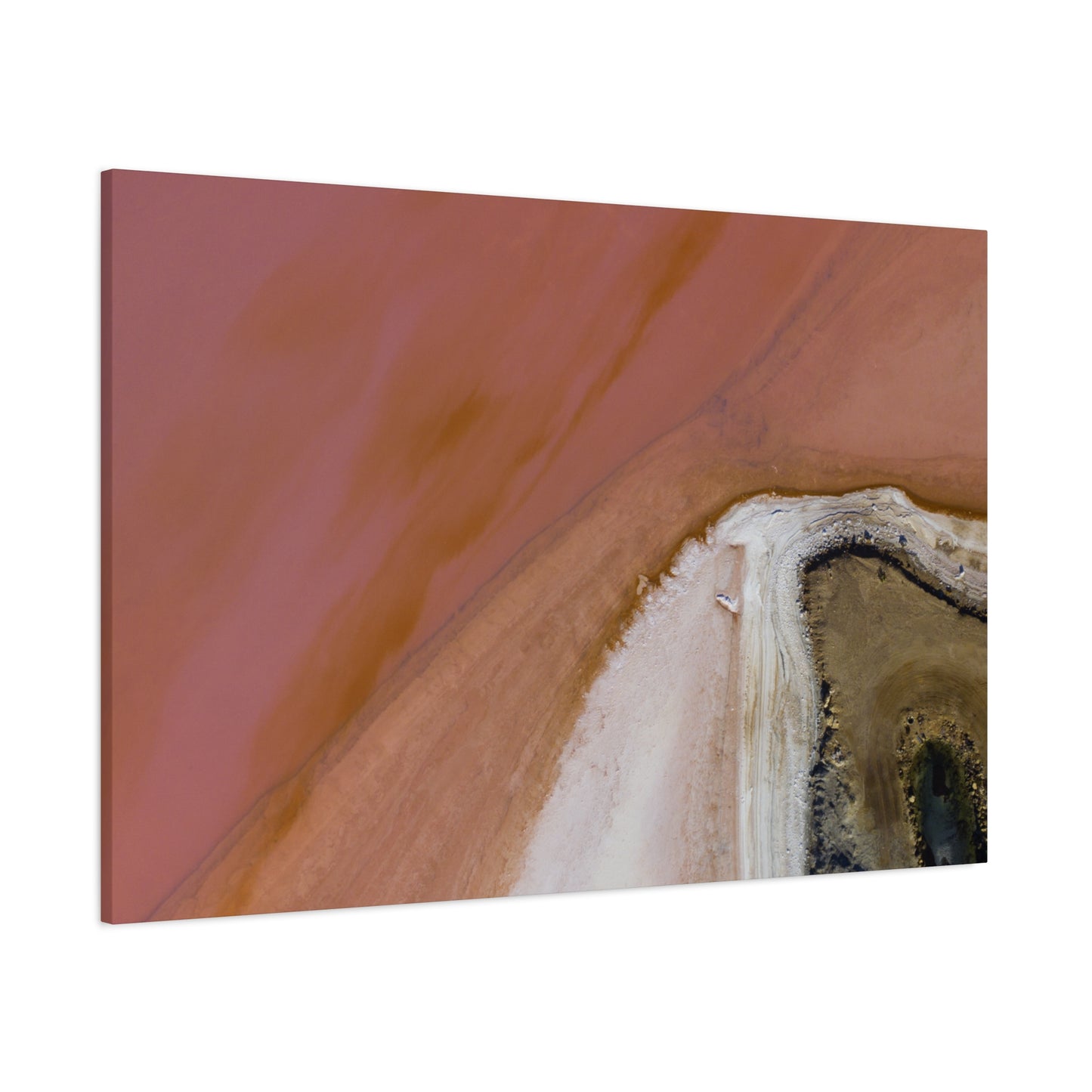 Pink Lake Canvas Print