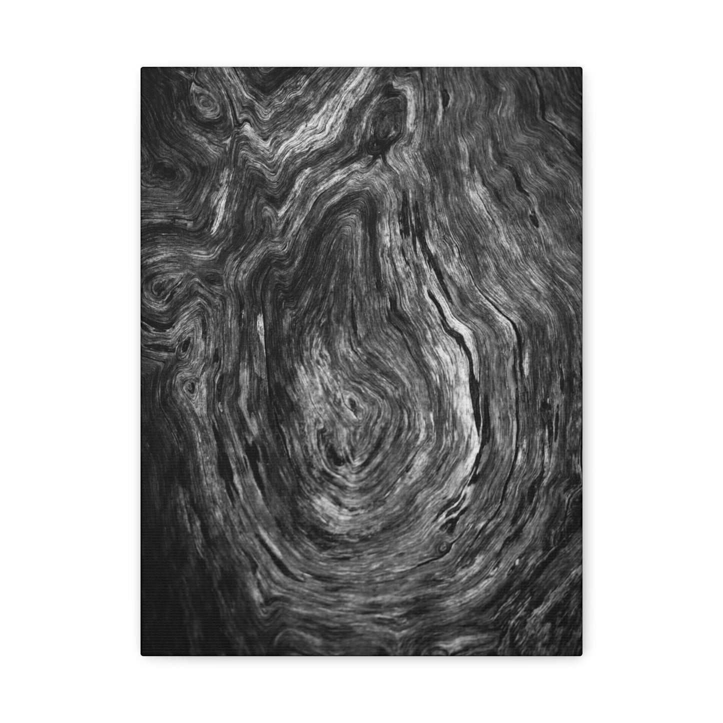 Wood Grain 1 BW Canvas Print