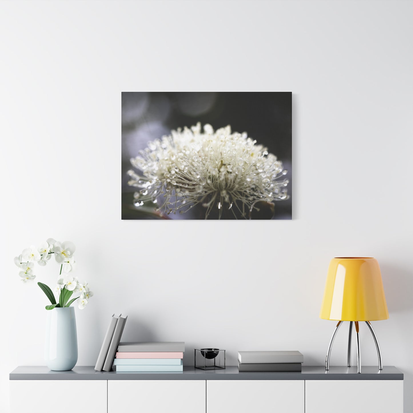 Marri Bloom Canvas Print