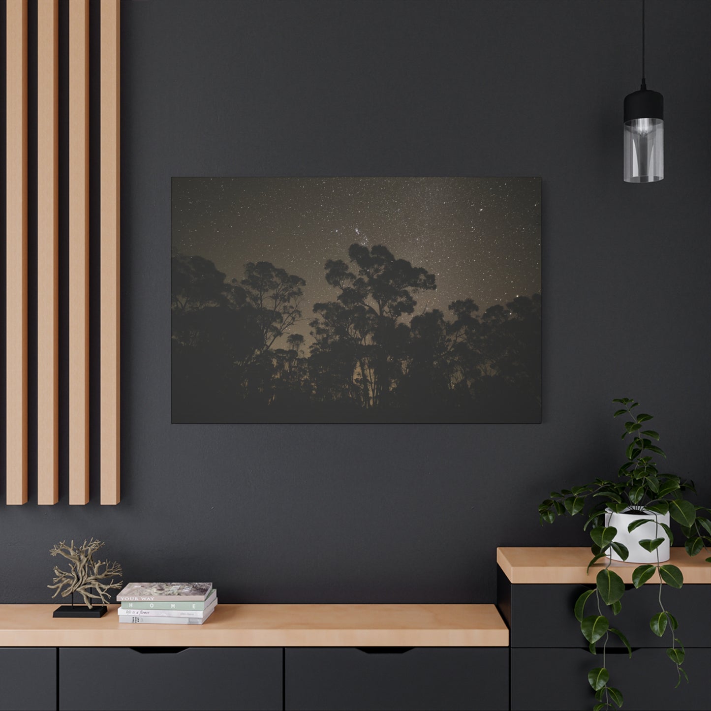 Dryandra Skies 2 Canvas Print