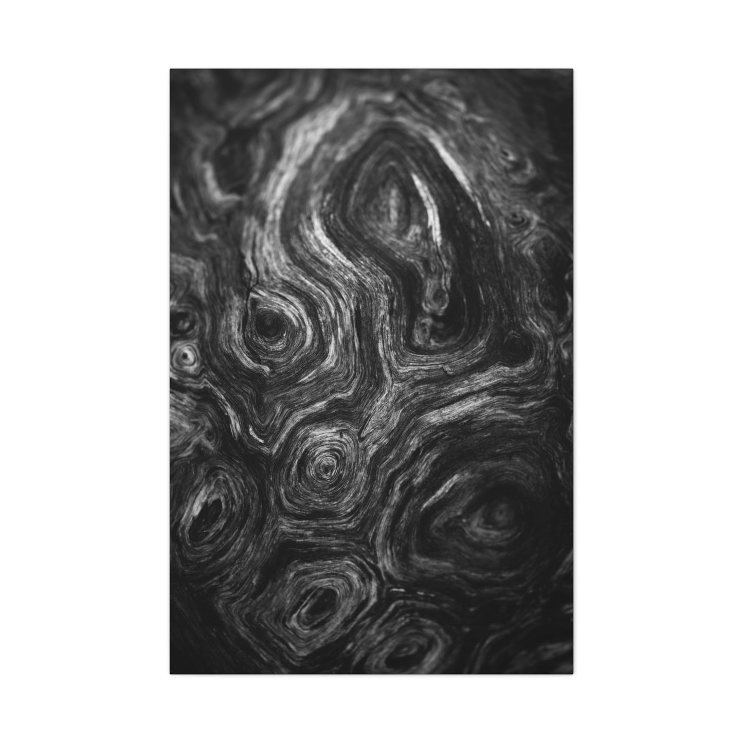 Wood Grain 2 BW Canvas Print