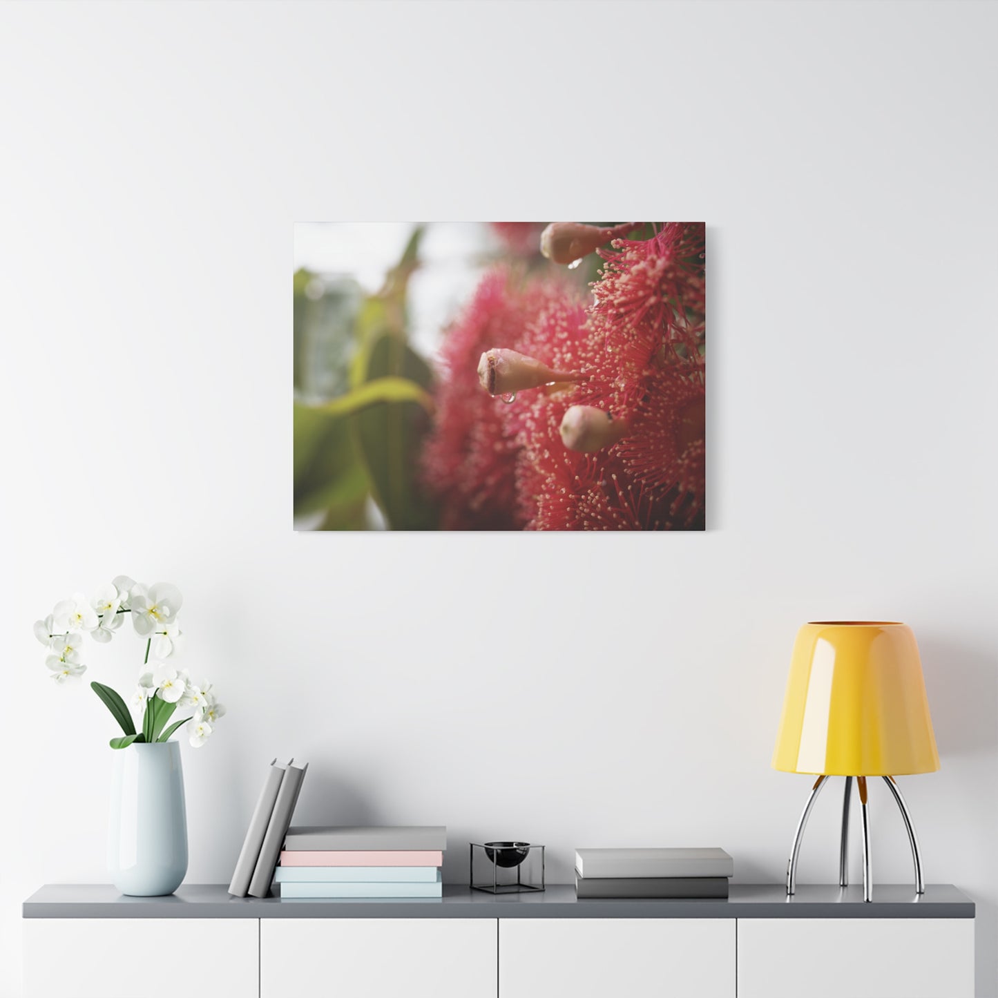 Flowering Gum Canvas Print