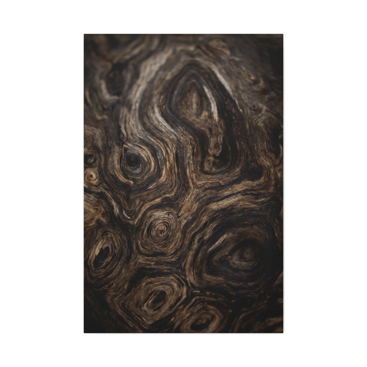 Wood Grain 2 Canvas Print