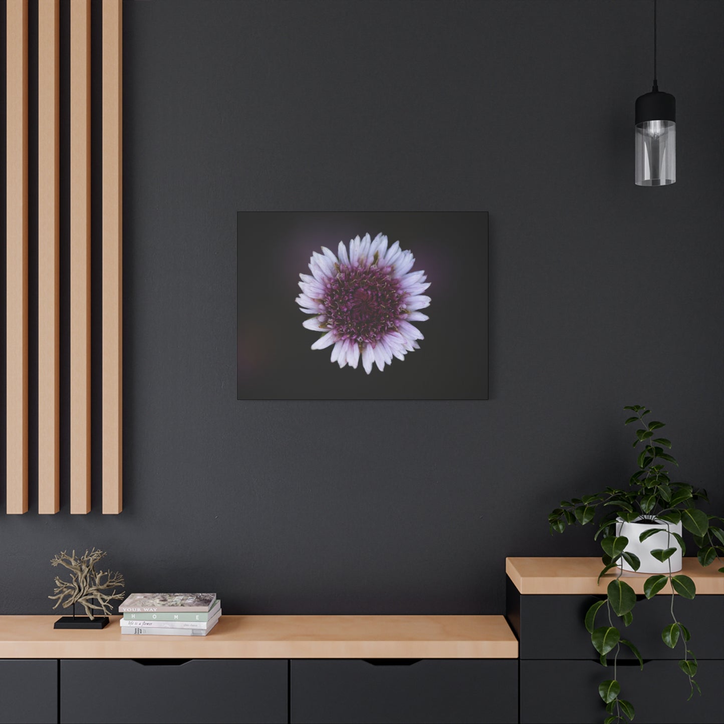 Pink Daisy Canvas Print