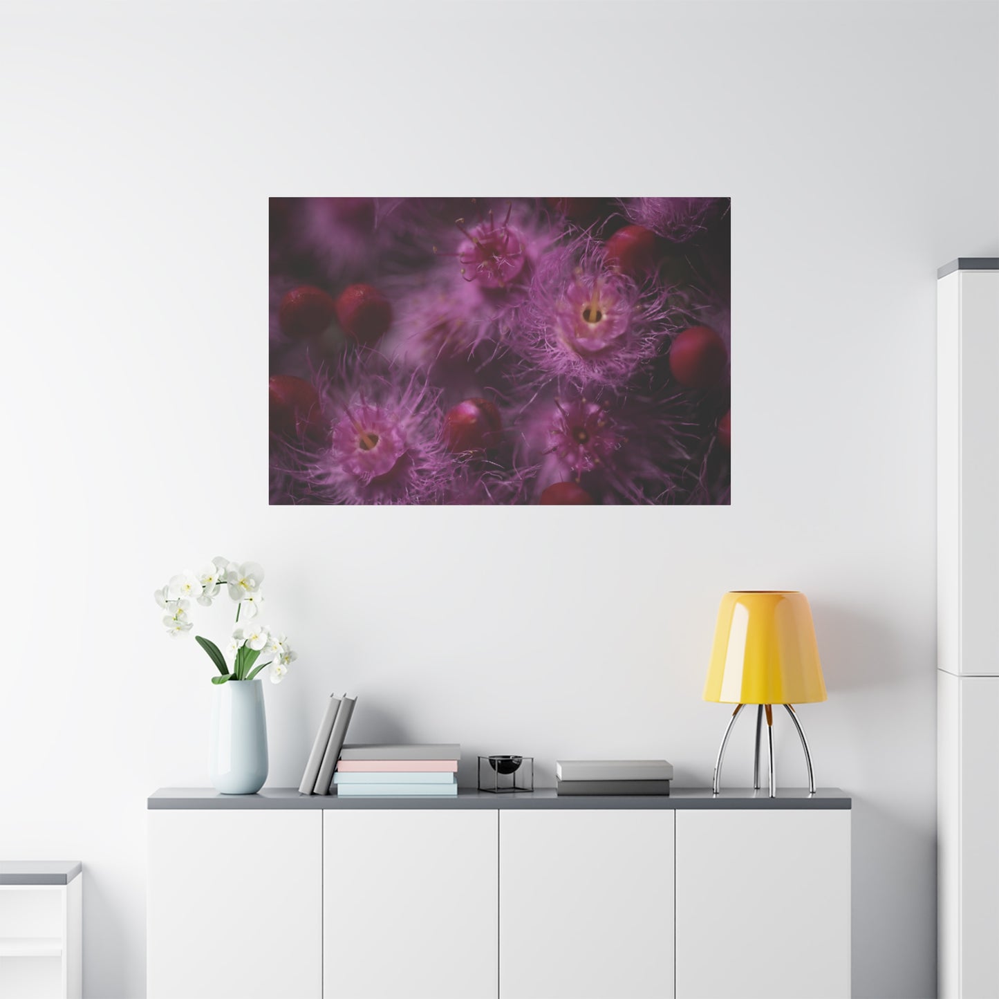 Verticordia Canvas Print