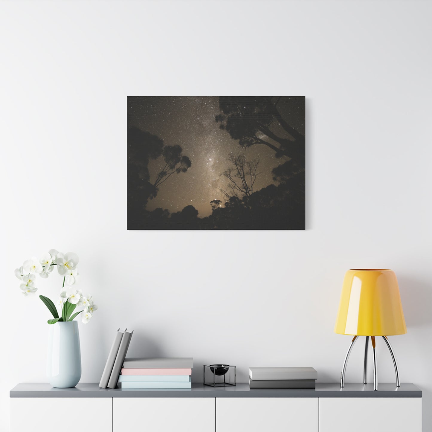 Dryandra Skies Canvas Print