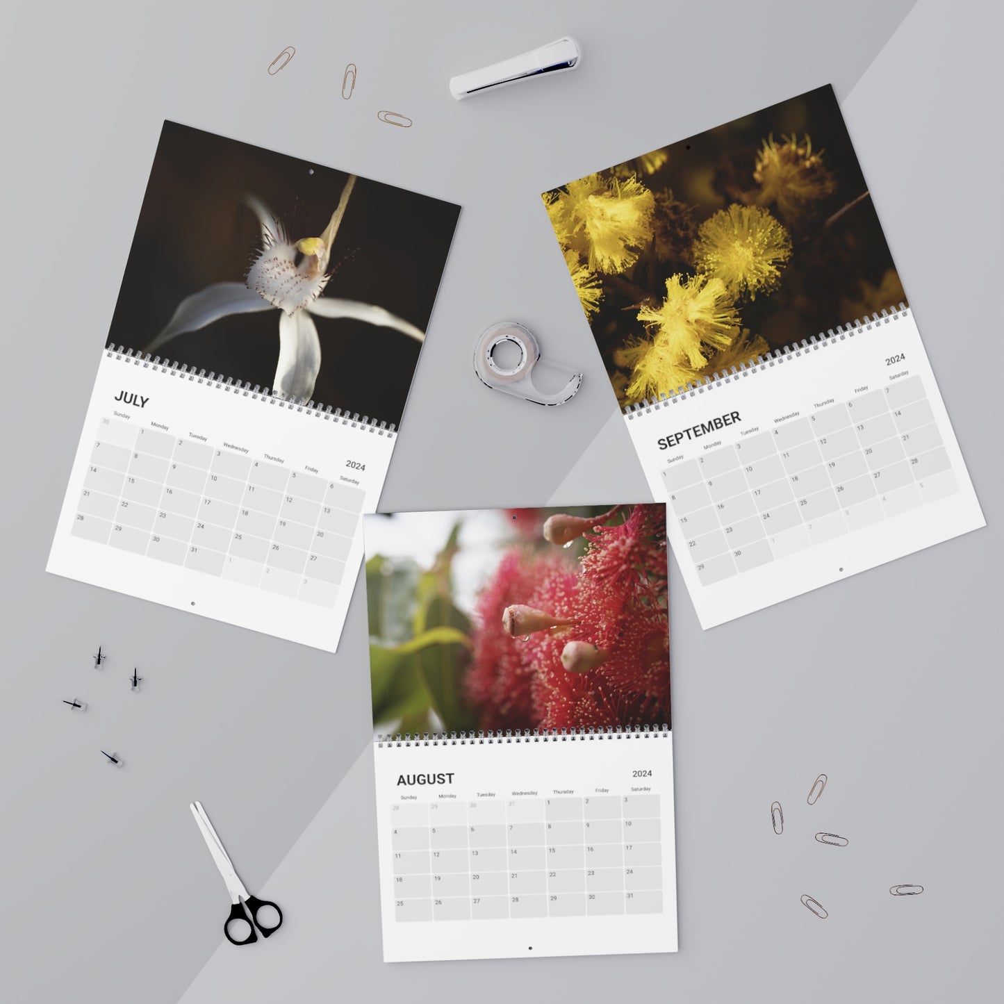 Wildflower Calendar (2024)