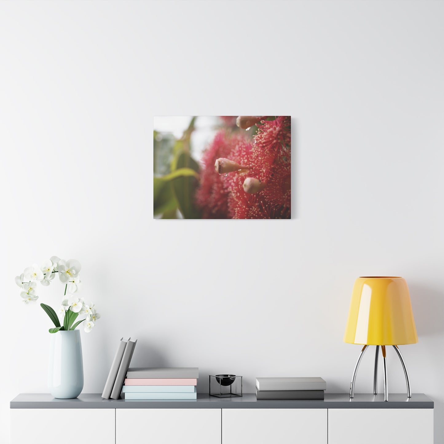 Flowering Gum Canvas Print