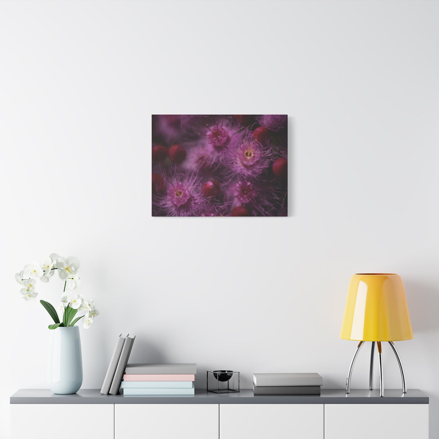 Verticordia Canvas Print