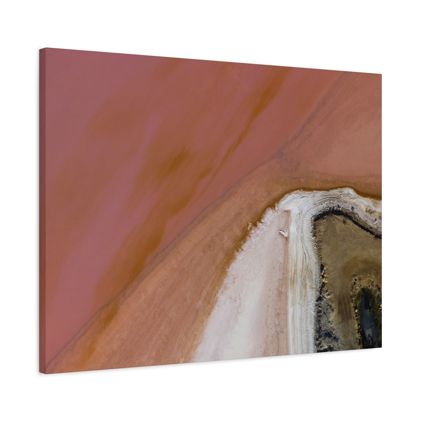 Pink Lake Canvas Print