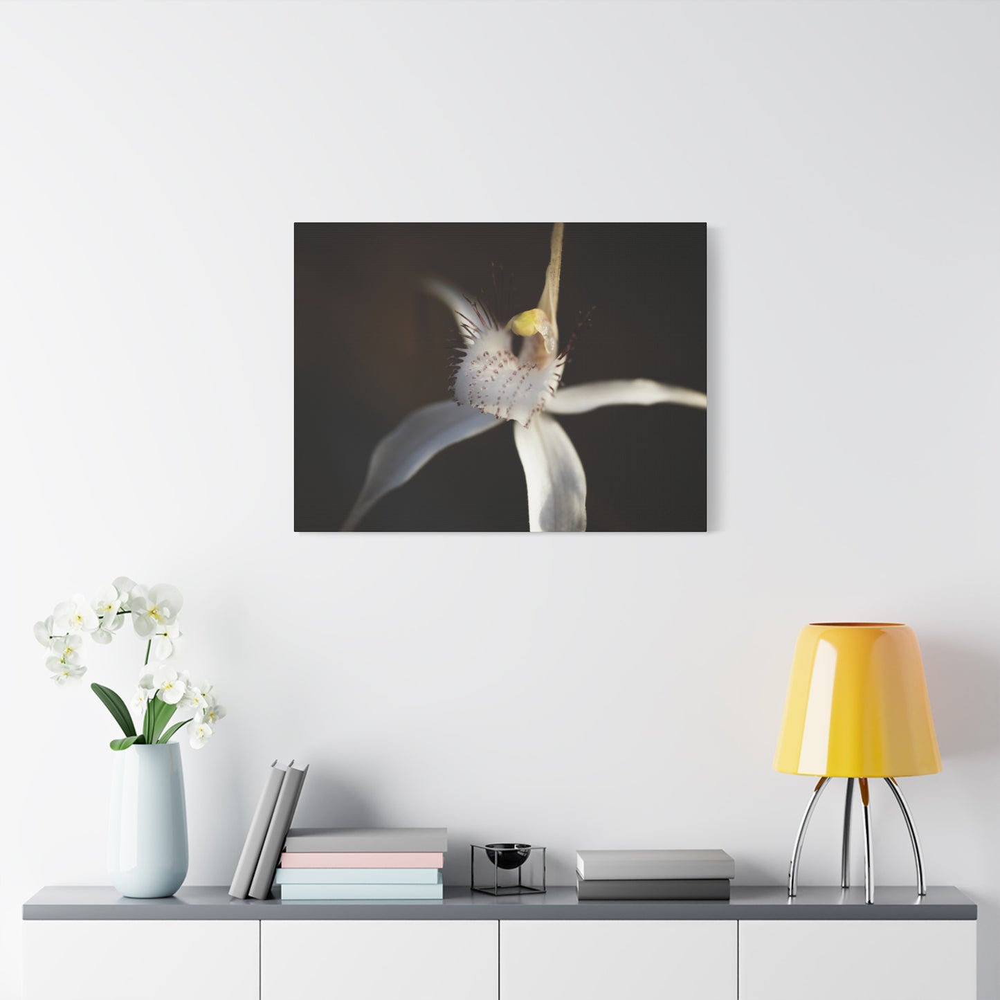 White Spider Orchid Canvas Print