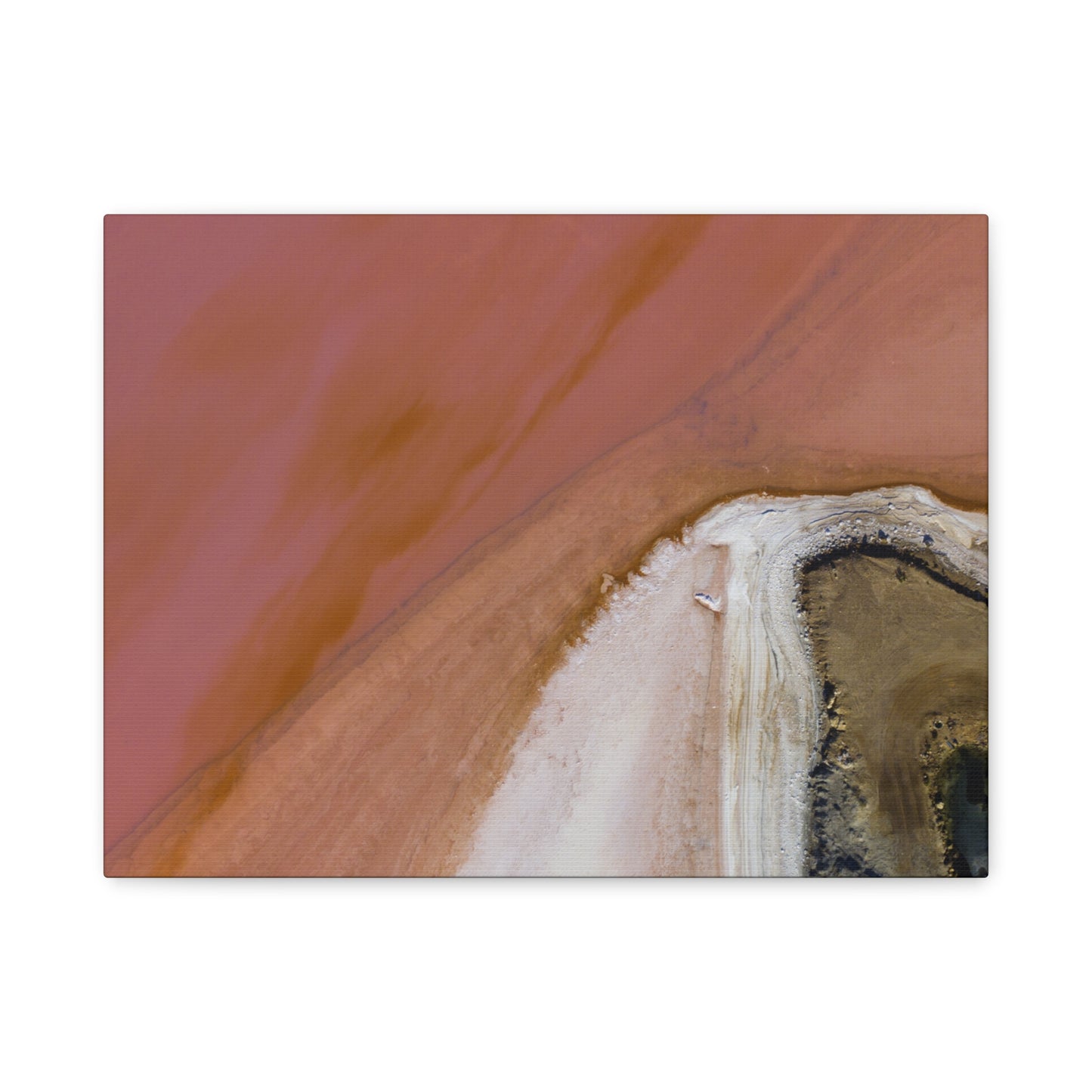 Pink Lake Canvas Print