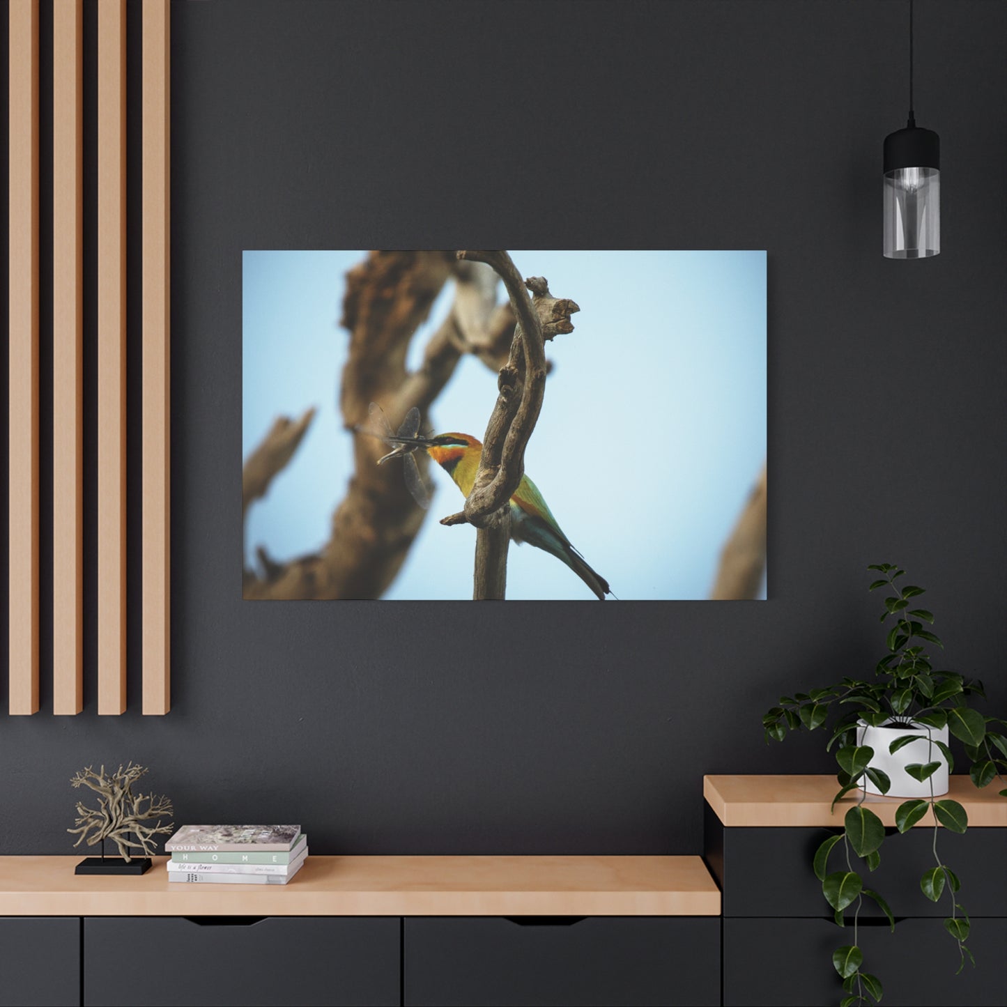 Bee Eater Canvas Print