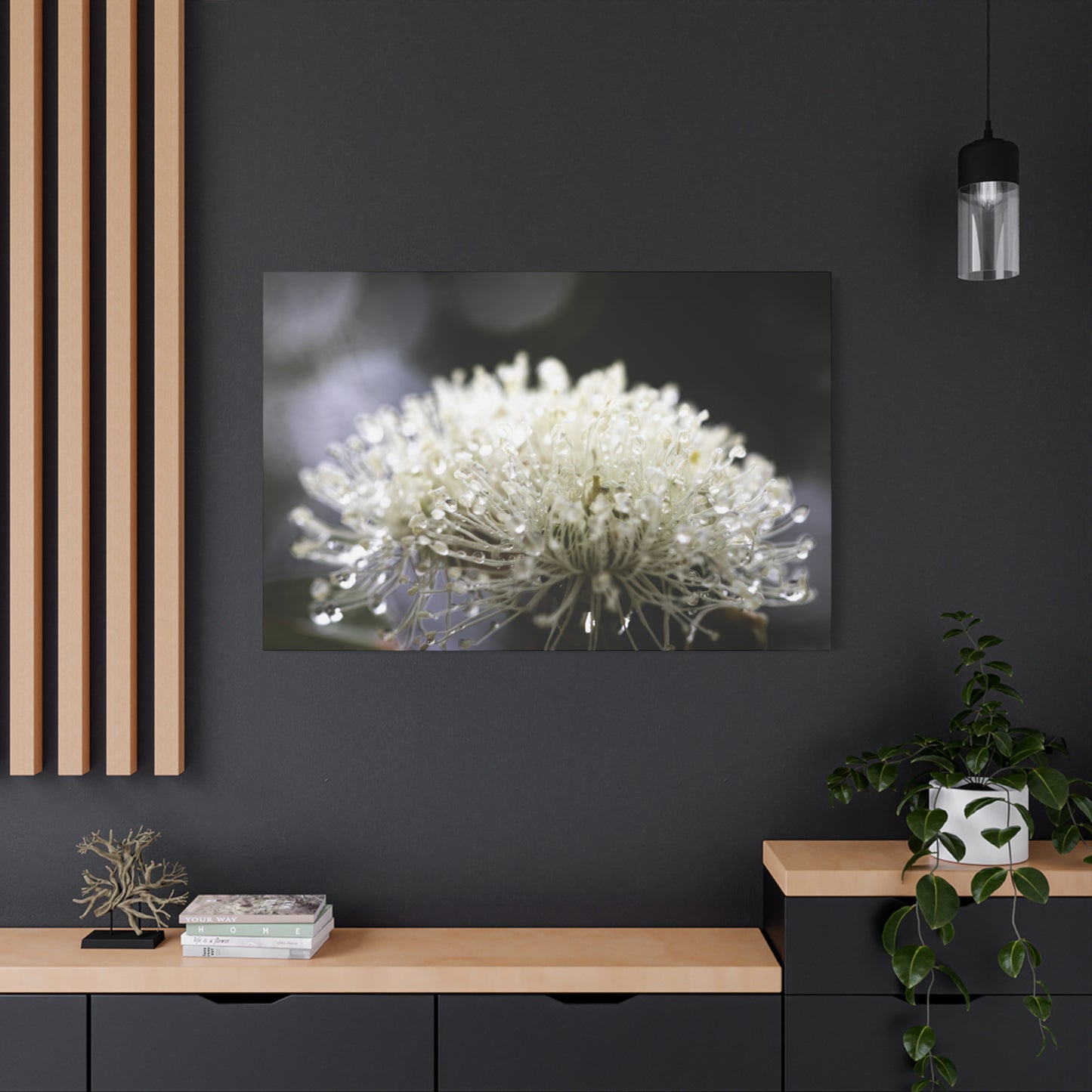 Marri Bloom Canvas Print