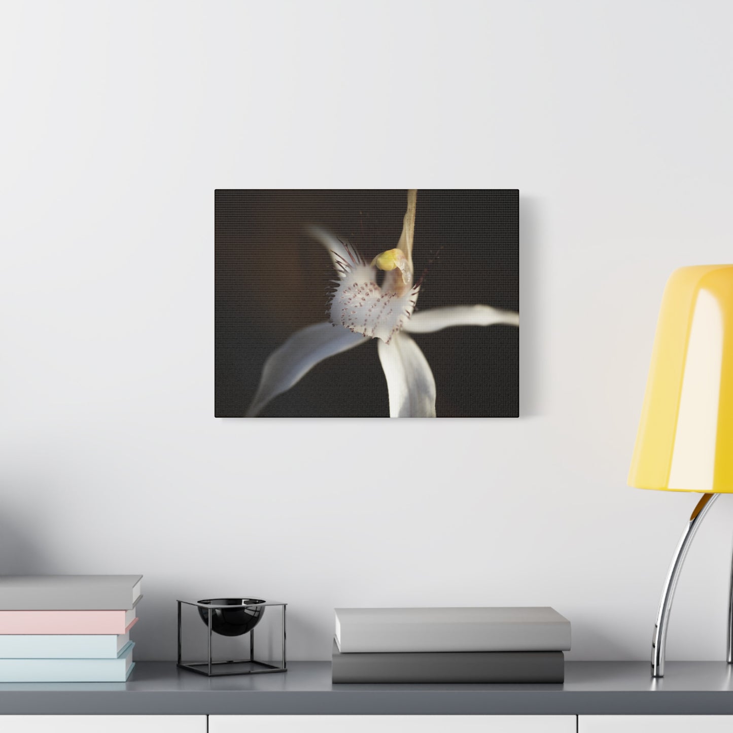 White Spider Orchid Canvas Print