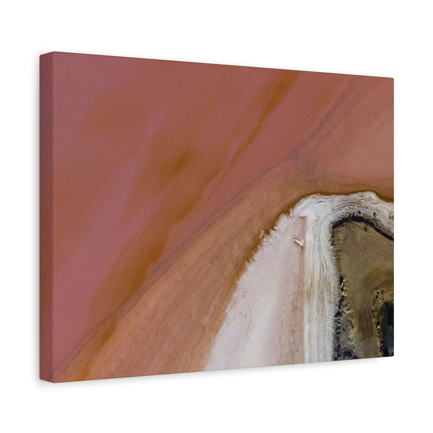 Pink Lake Canvas Print