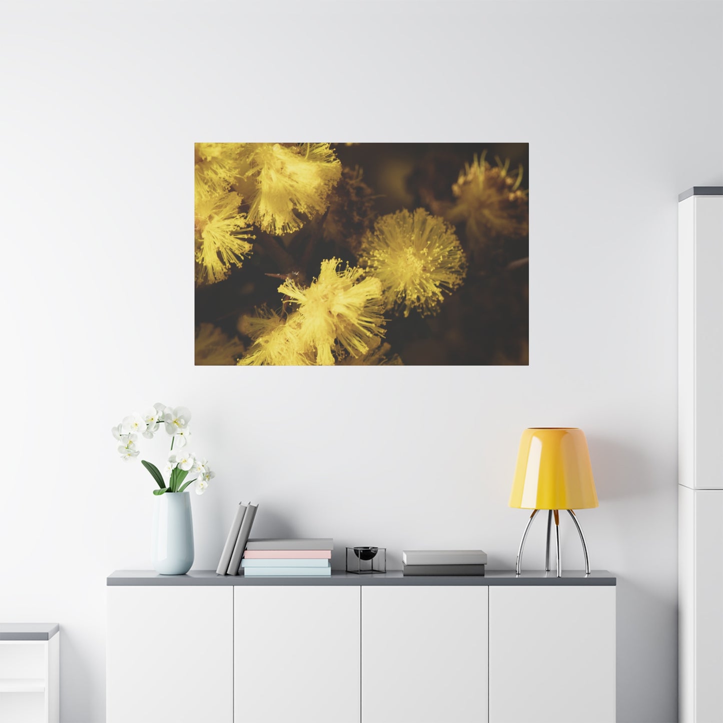 Wattle Canvas Print