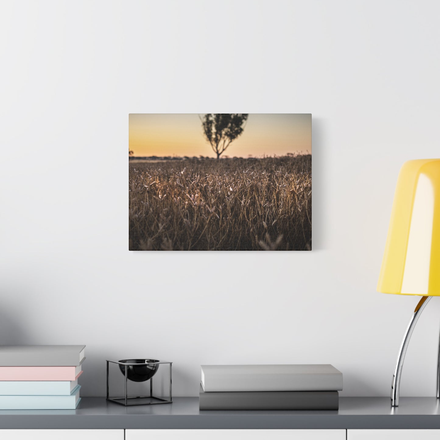 Paddock 1 Canvas Print