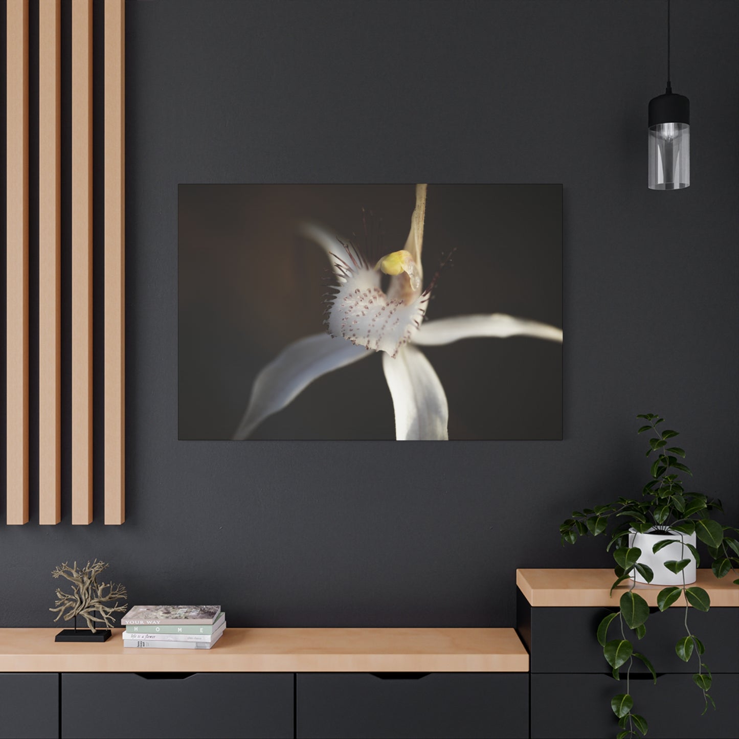 White Spider Orchid Canvas Print