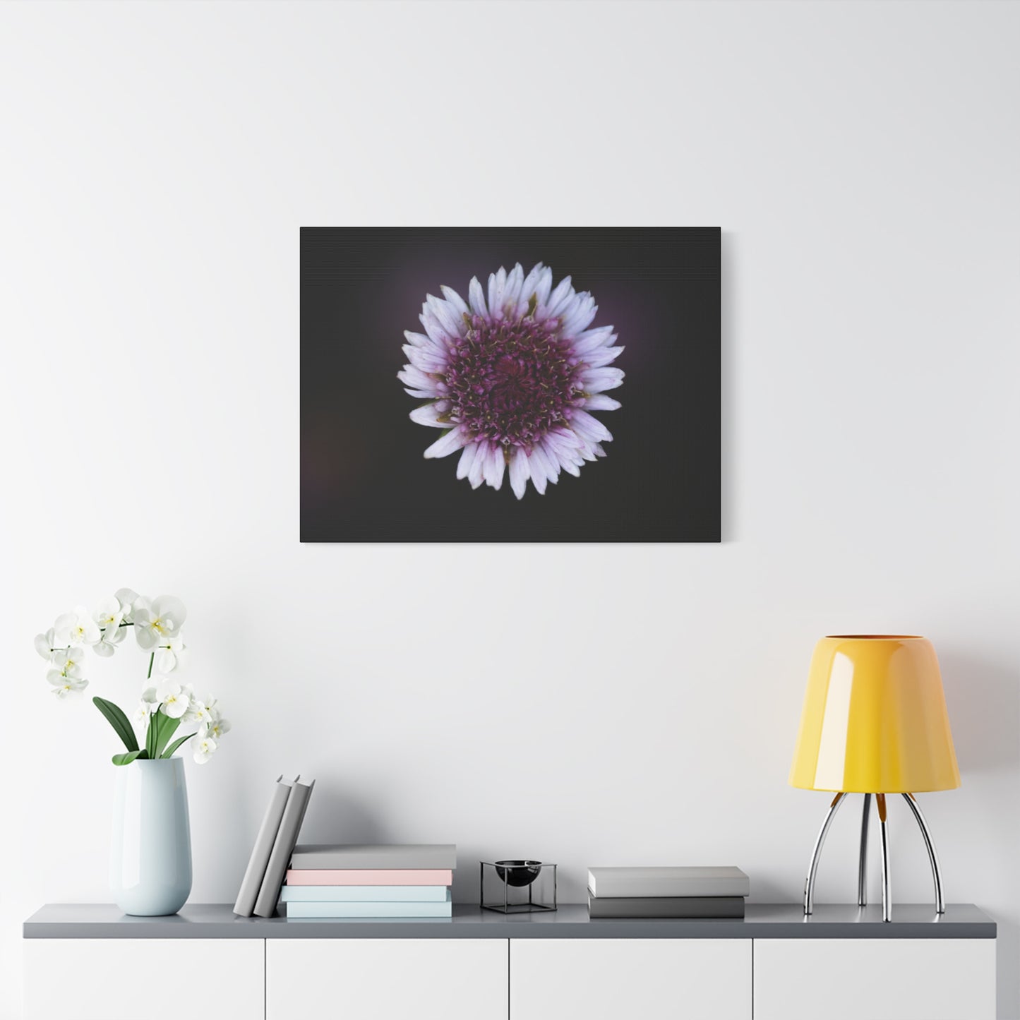 Pink Daisy Canvas Print