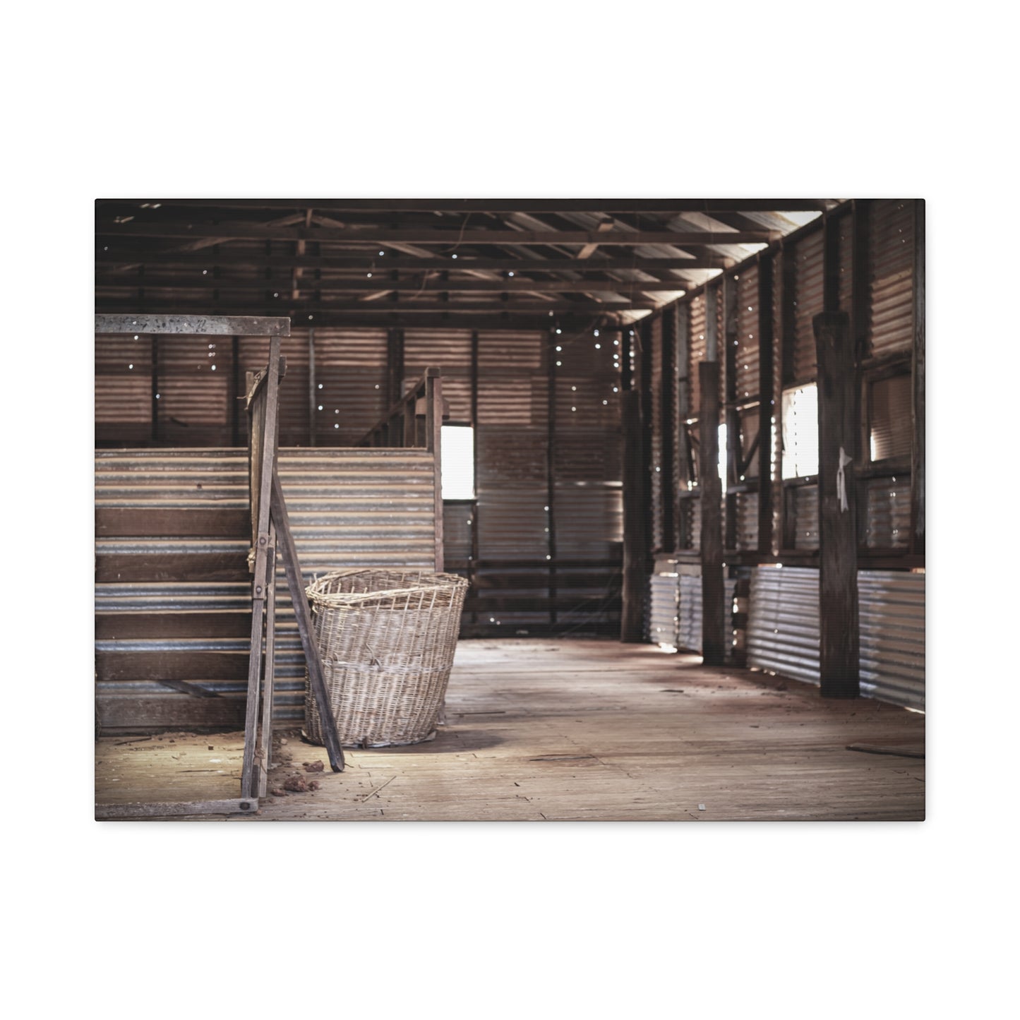 Work Shed Canvas Print