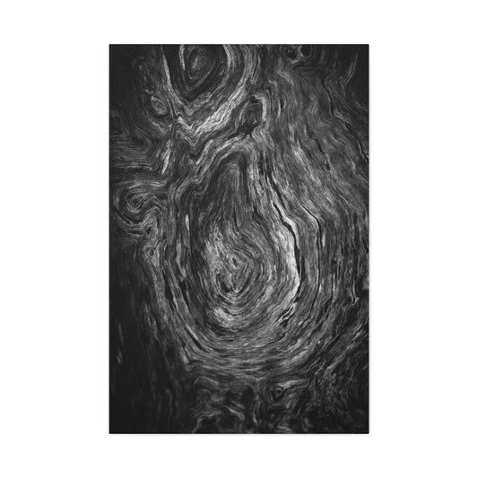 Wood Grain 1 BW Canvas Print