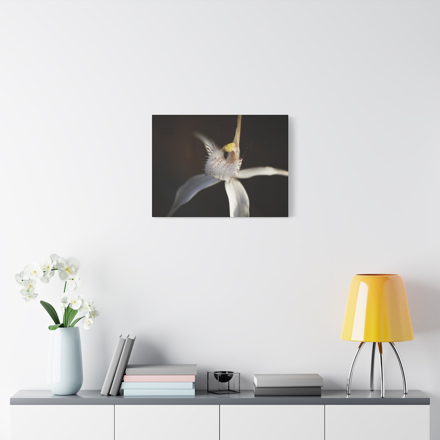 White Spider Orchid Canvas Print