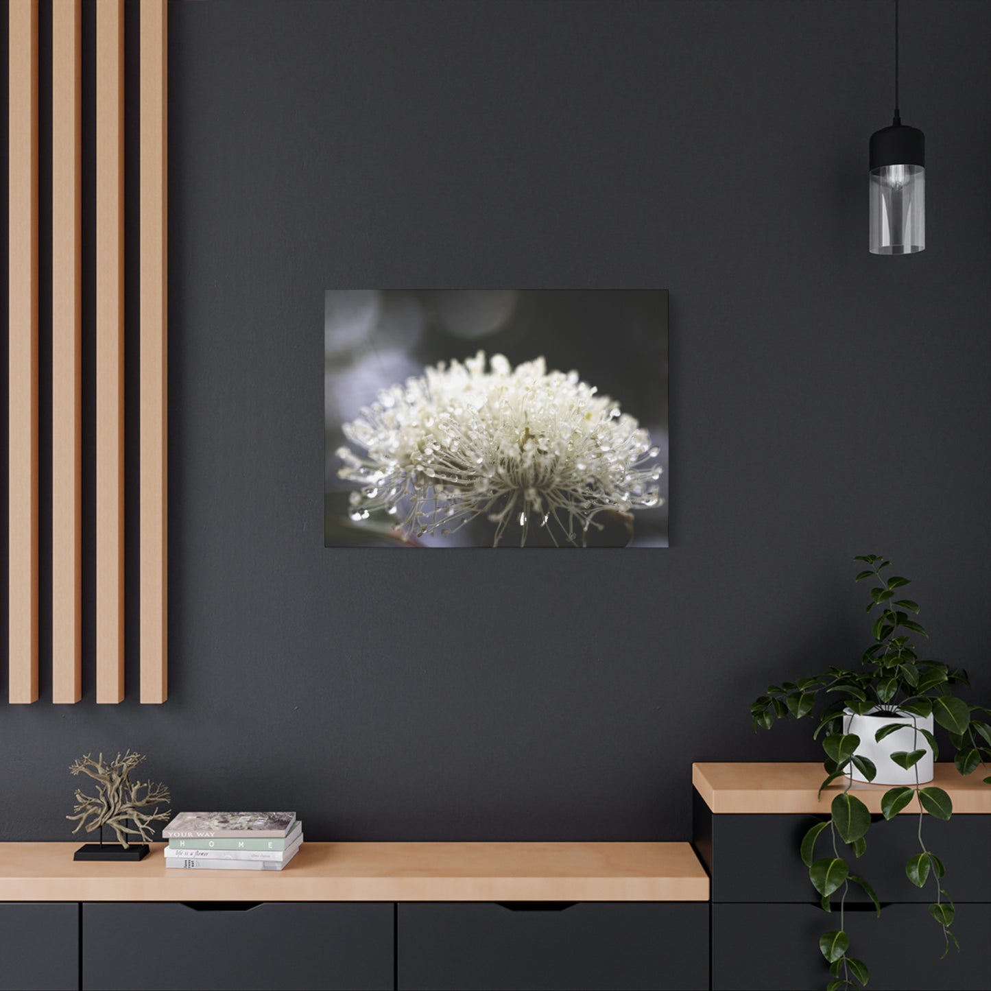 Marri Bloom Canvas Print