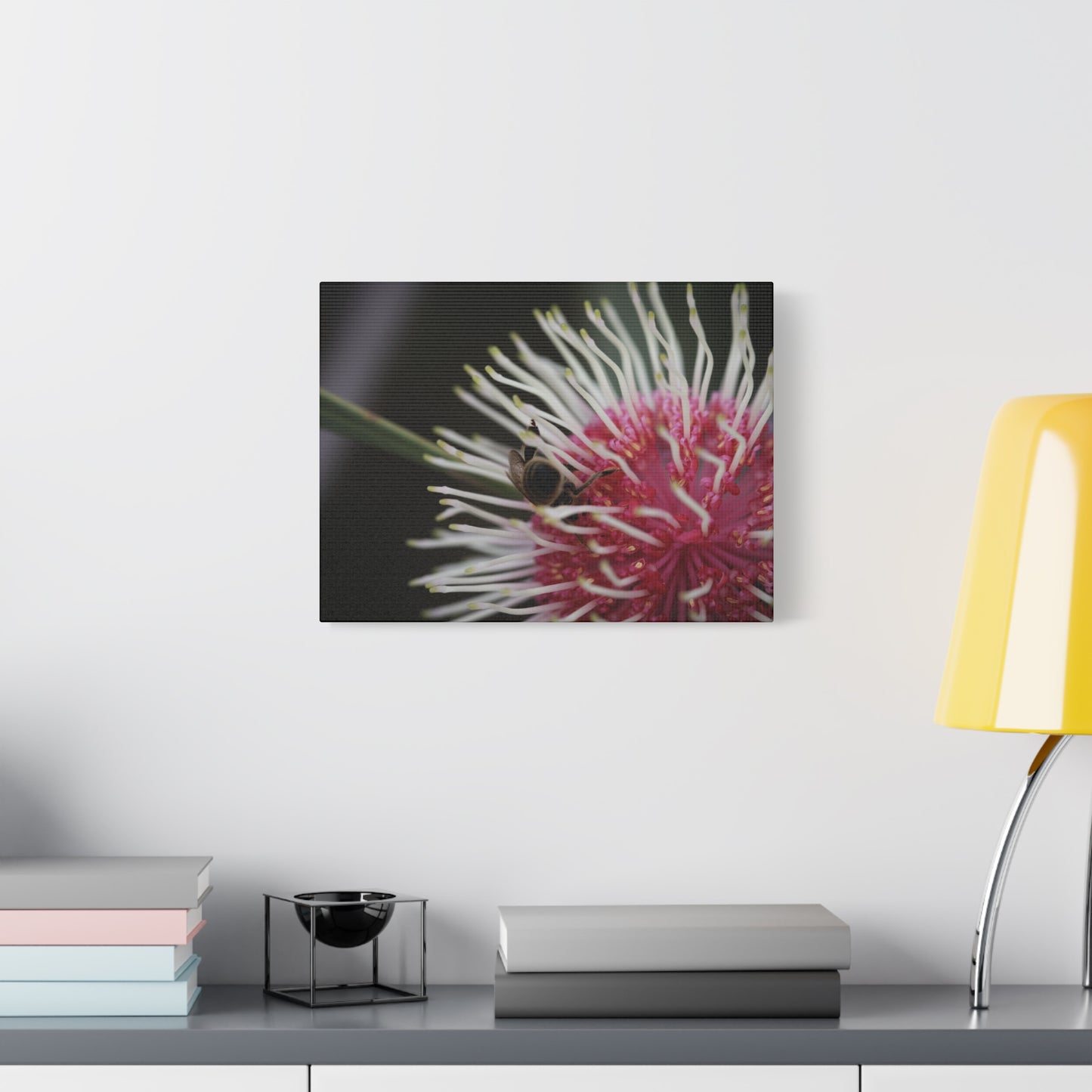 Pin Cushion Canvas Print