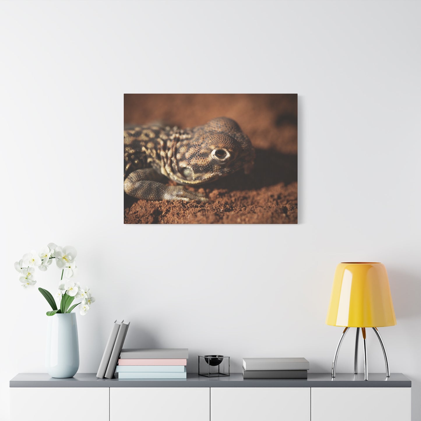 Lizard Canvas Print